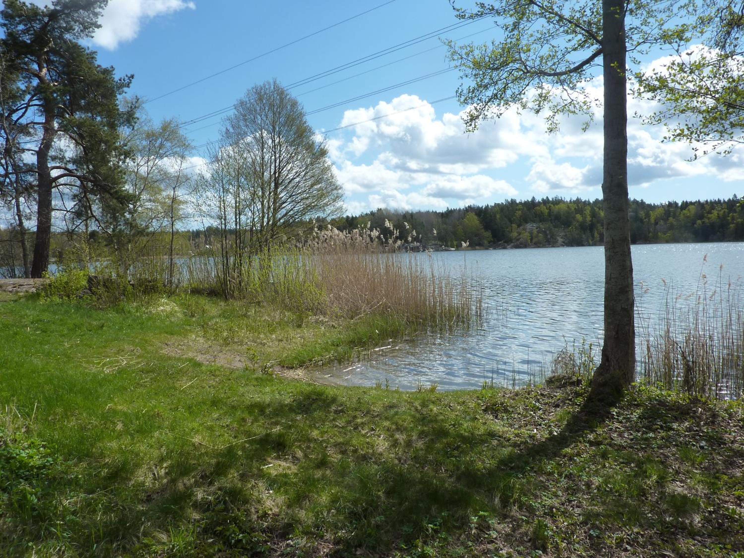 Photo 14