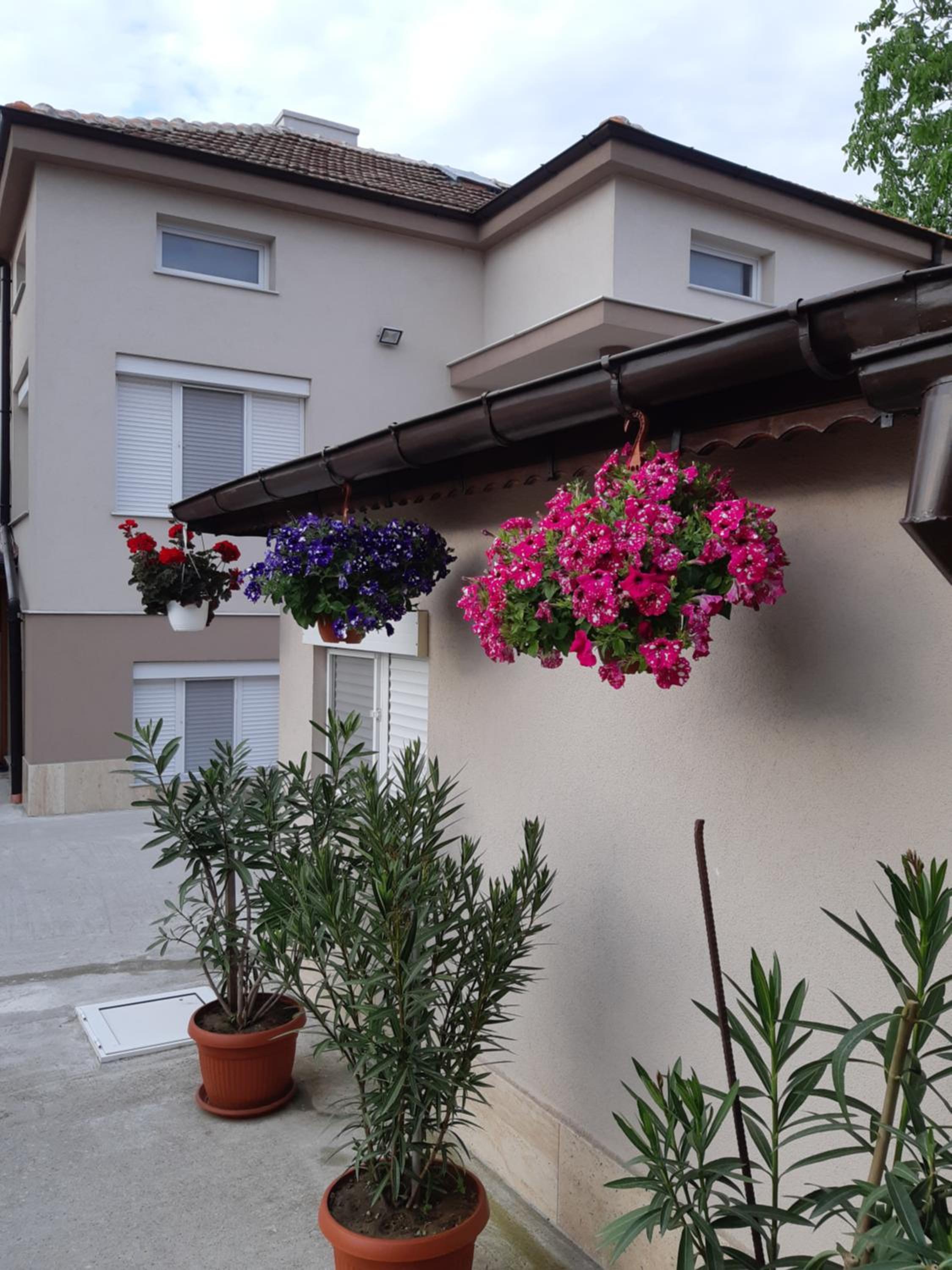 Villa Ros Guest House