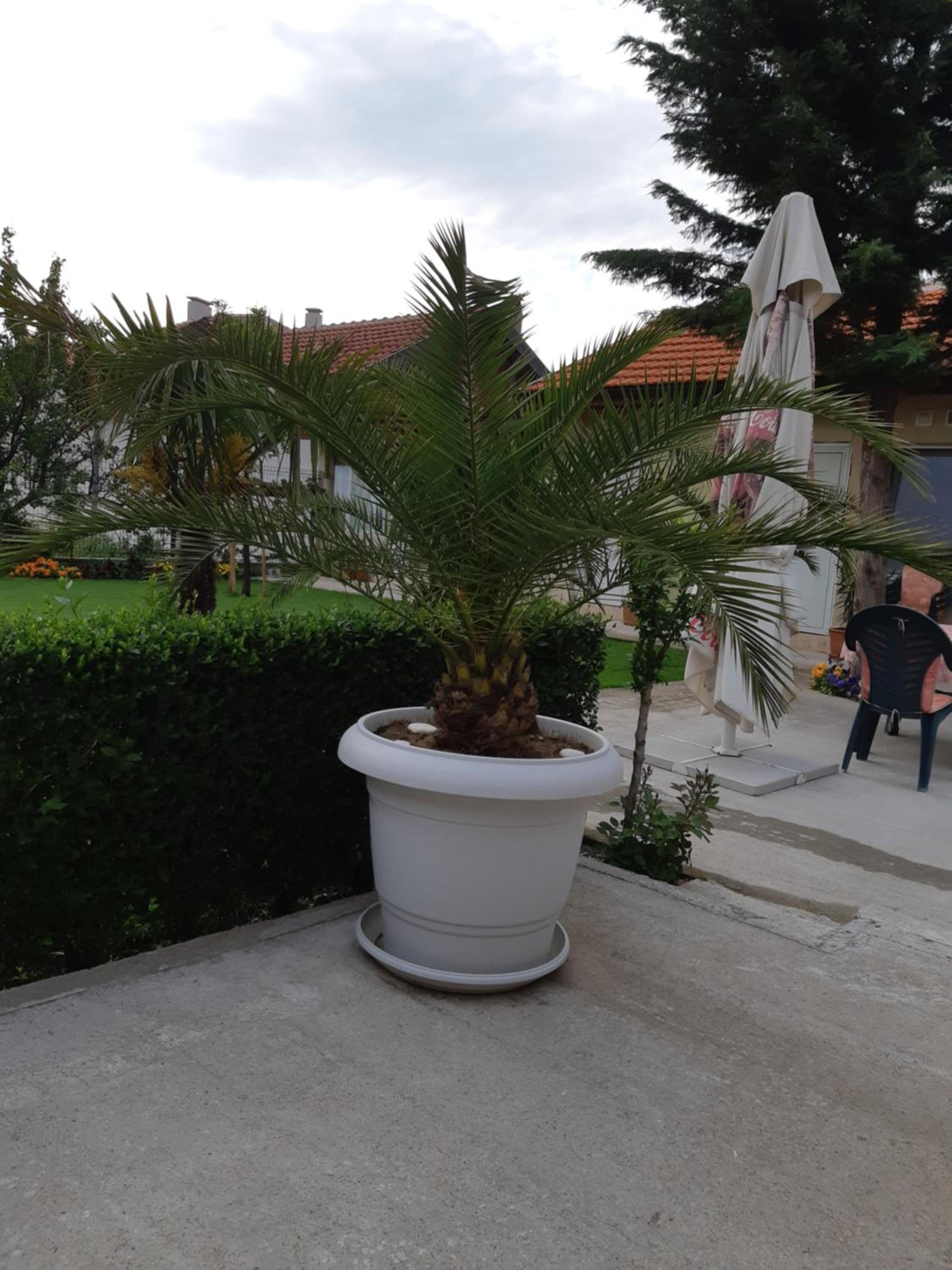 Villa Ros Guest House