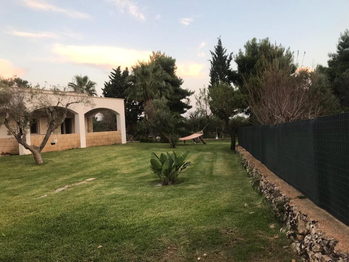 Photo 21