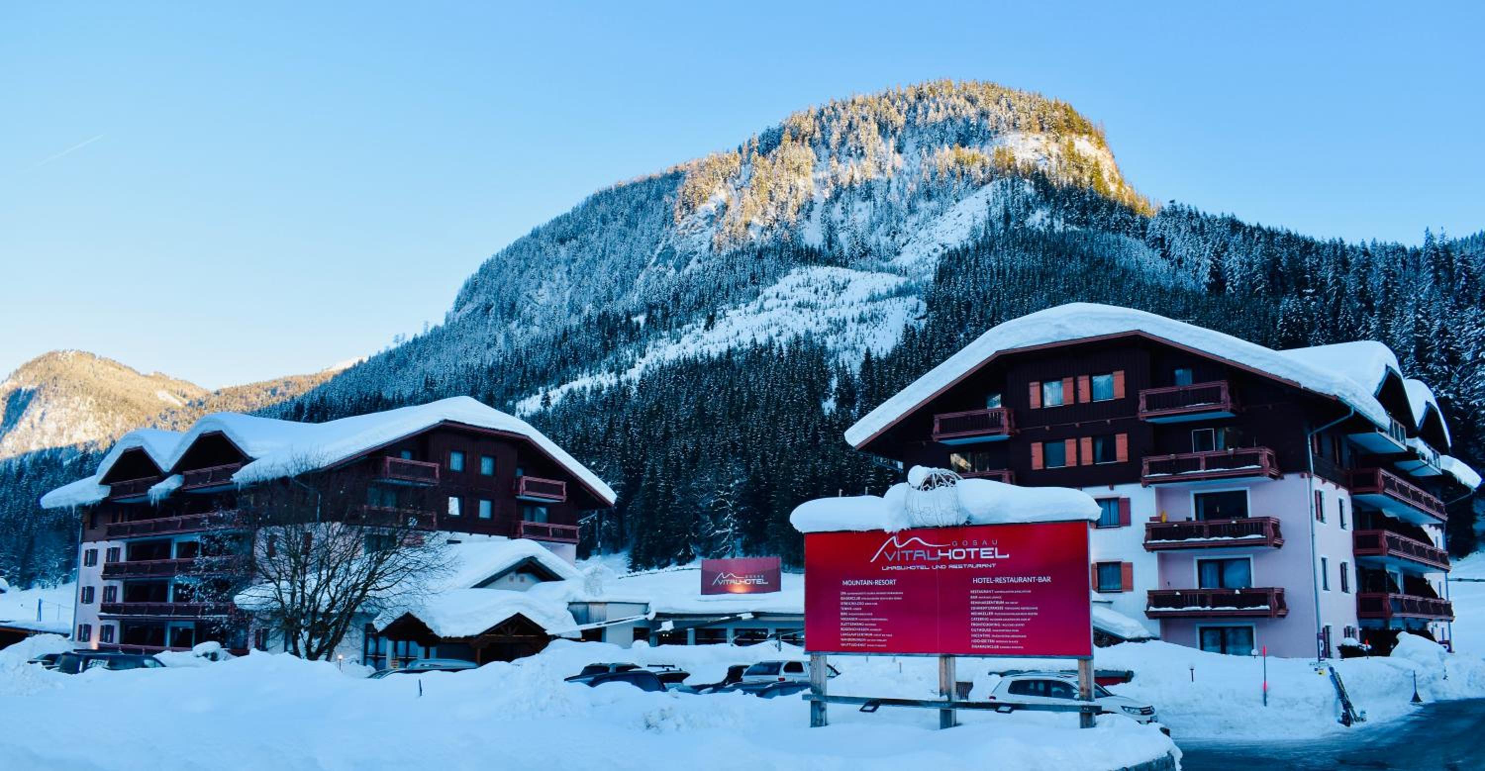 Gosau Apartment 209 view 4