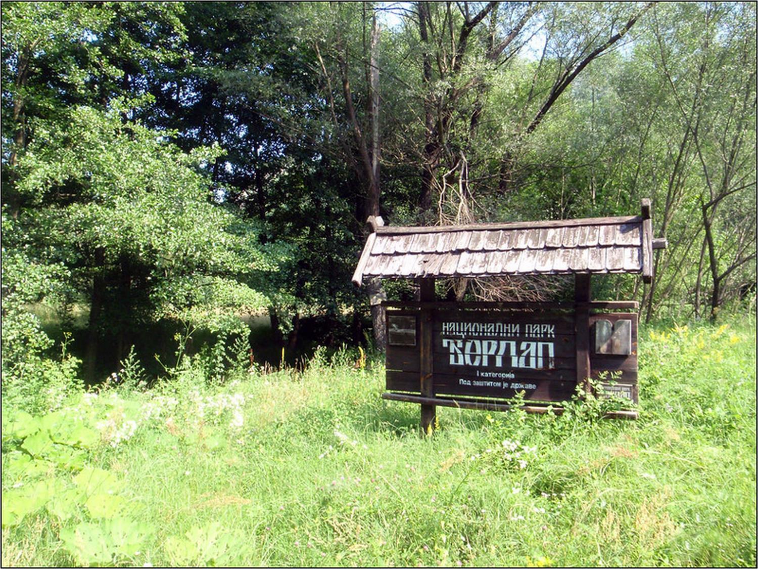 Photo 44