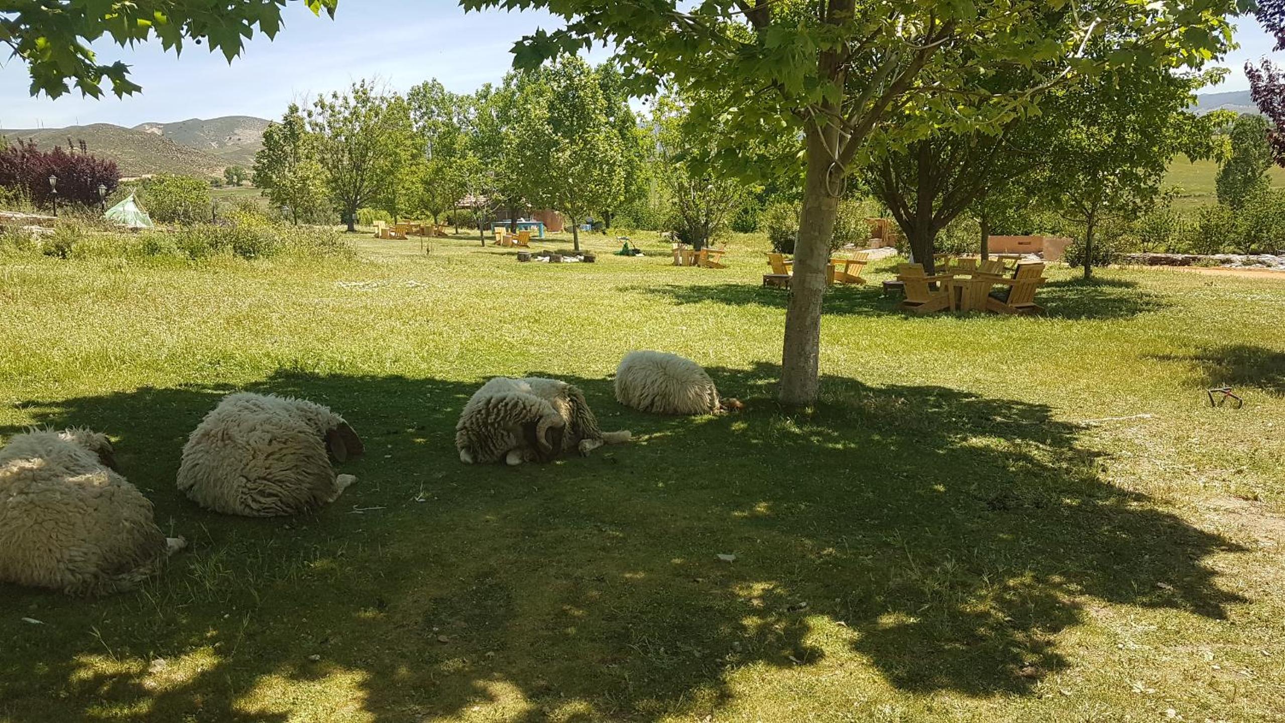 Photo 35