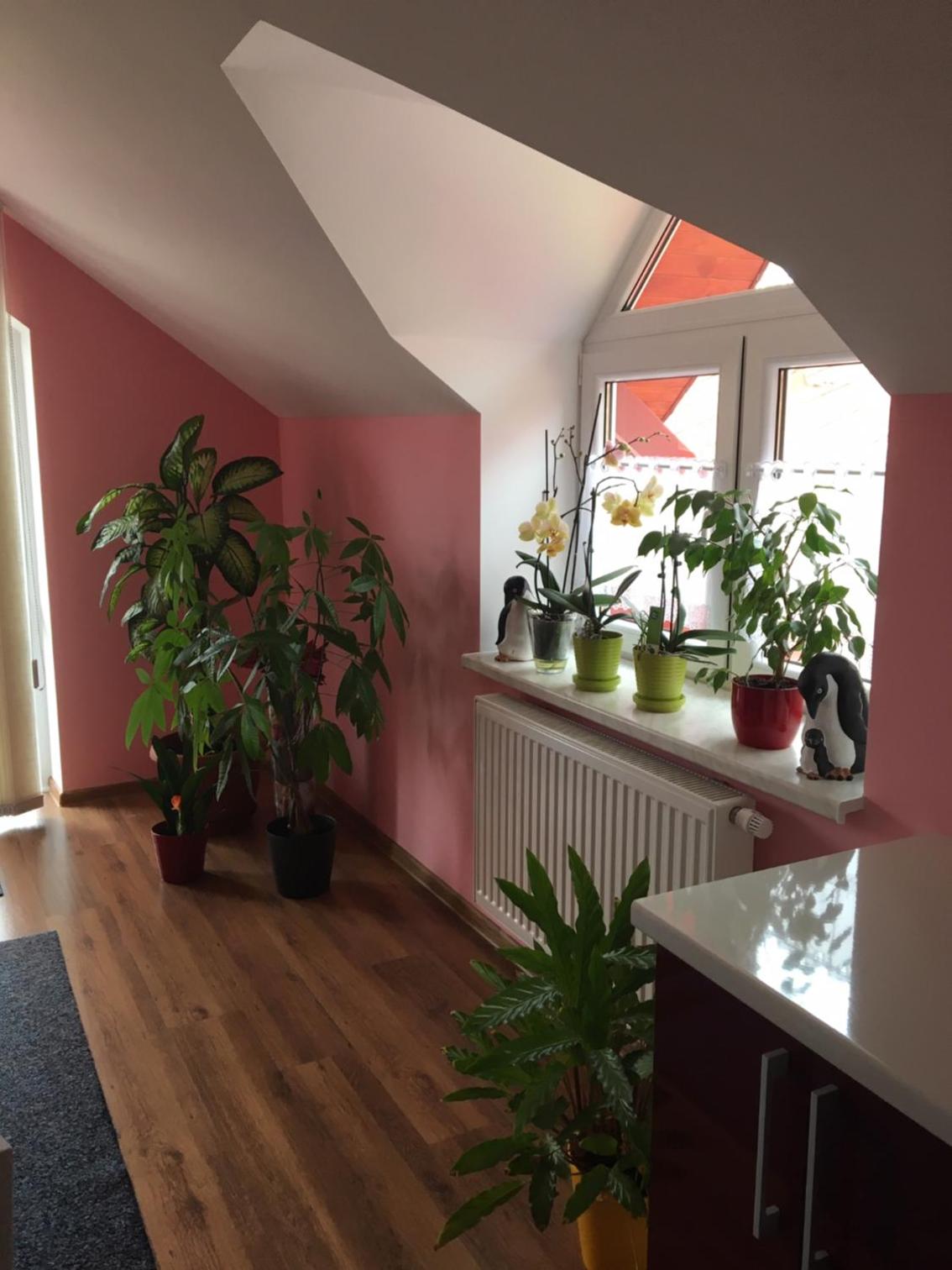 Privát Daniela Štrba view 5