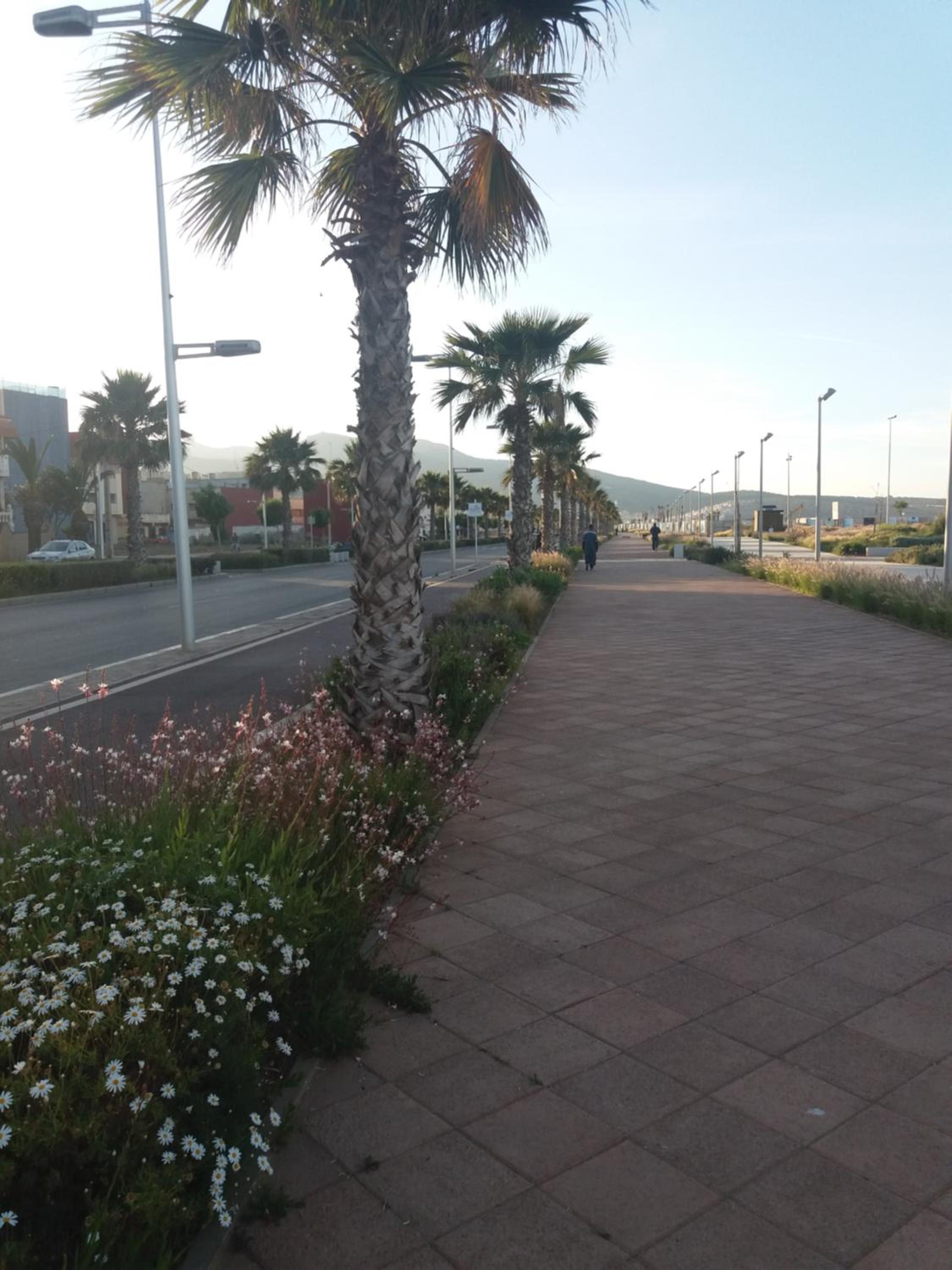 Apartamento cerca del mar view 4