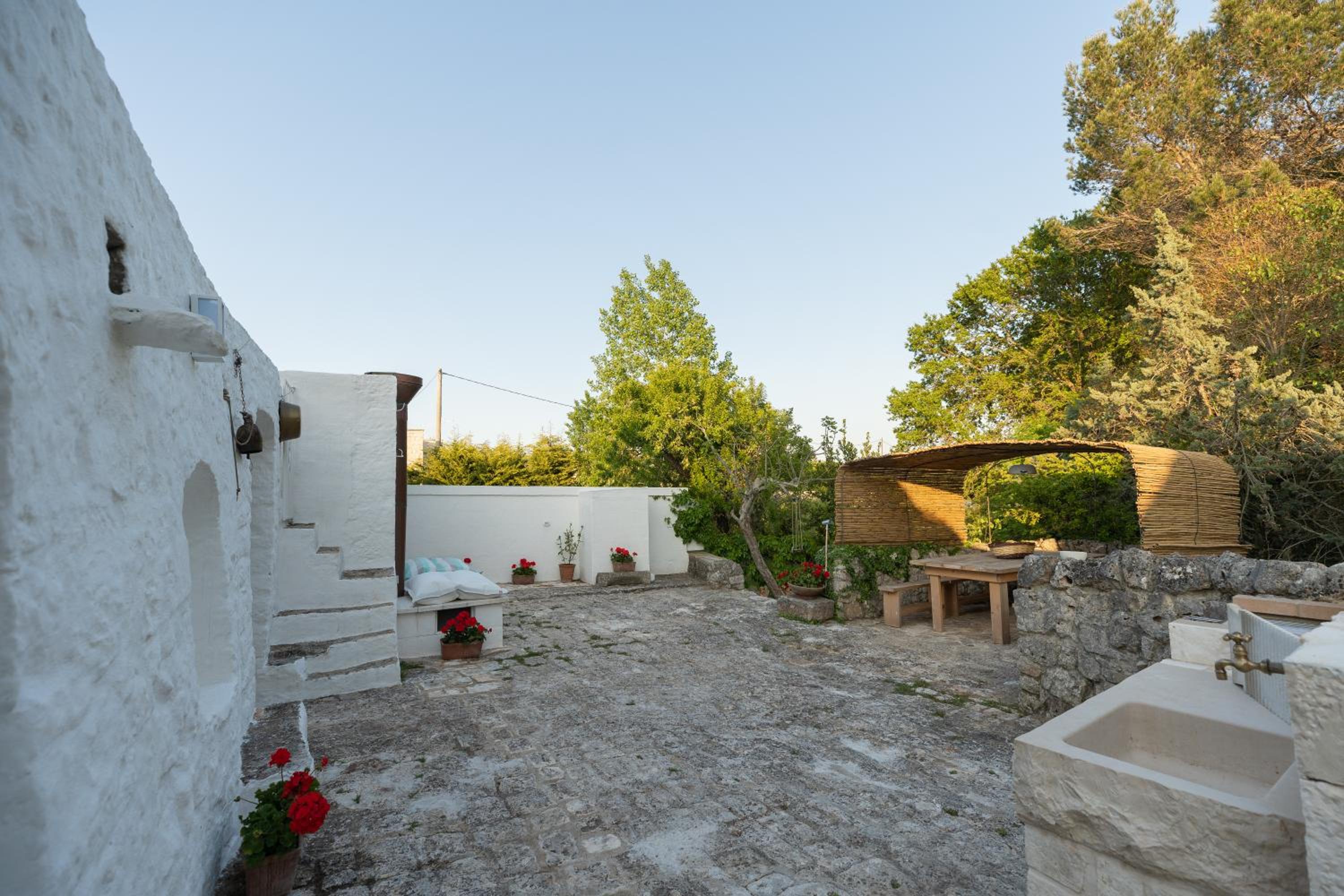 Photo 24