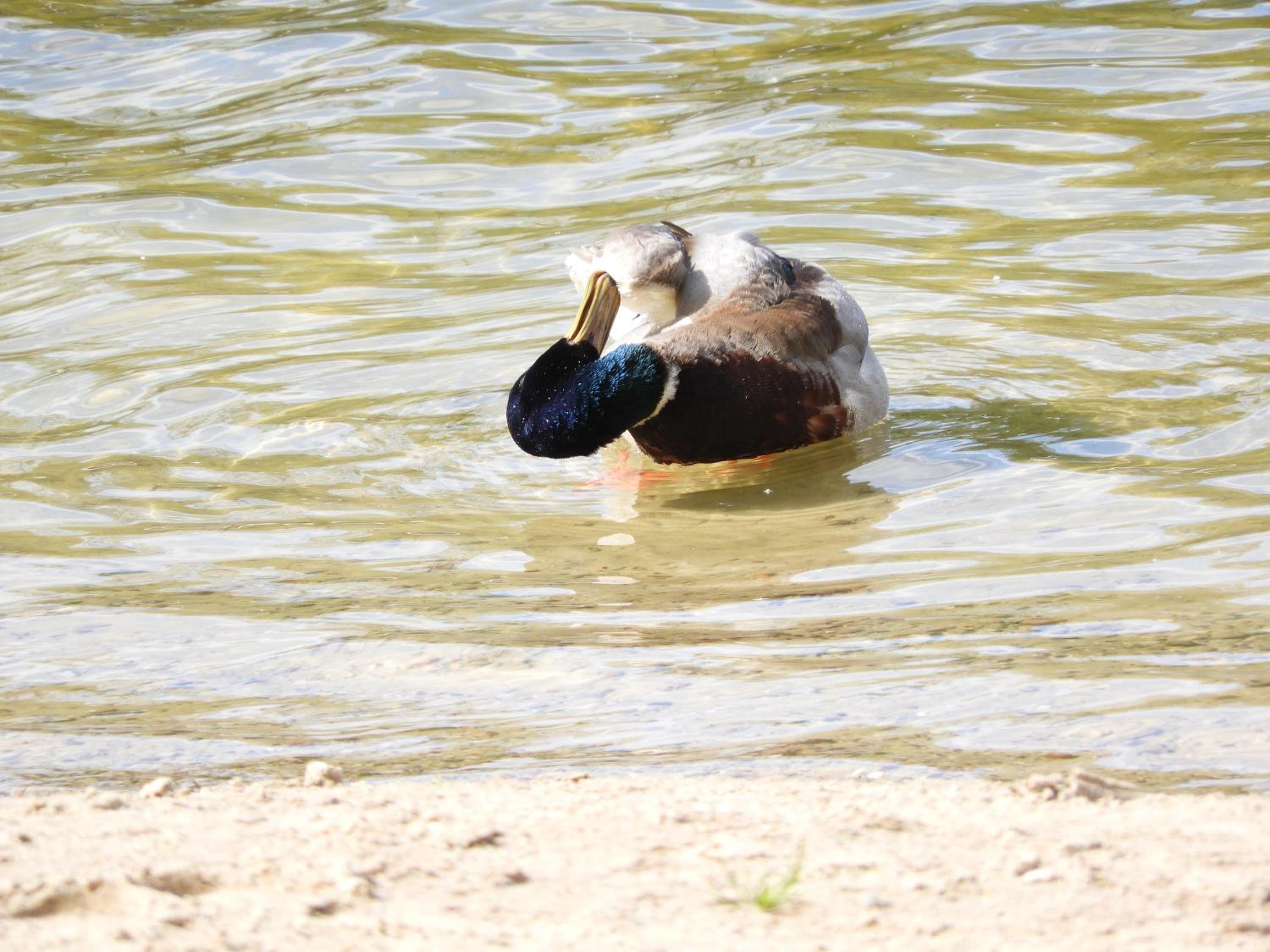 Photo 28