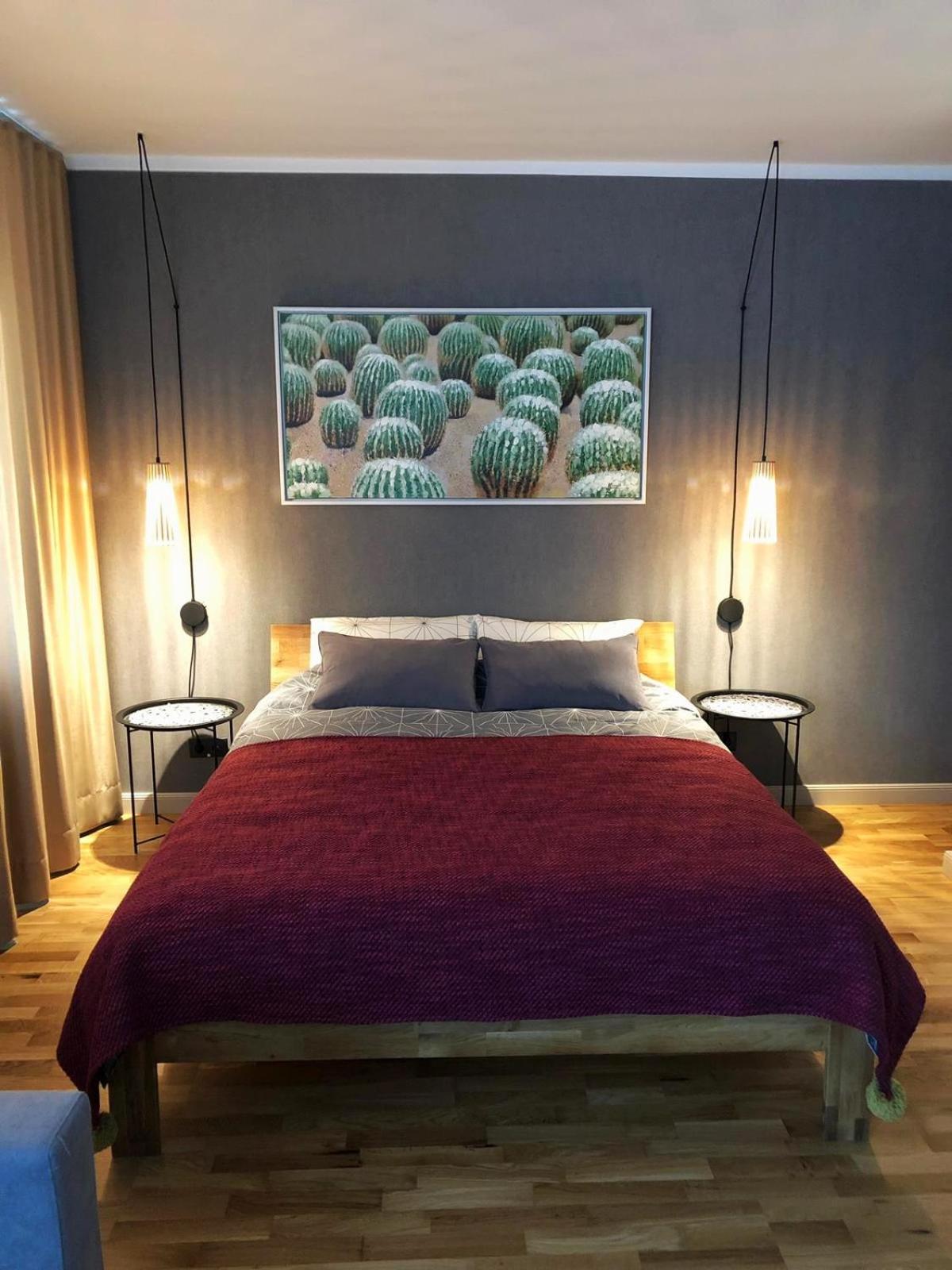 Kaktuss apartamenti Smiltene view 3