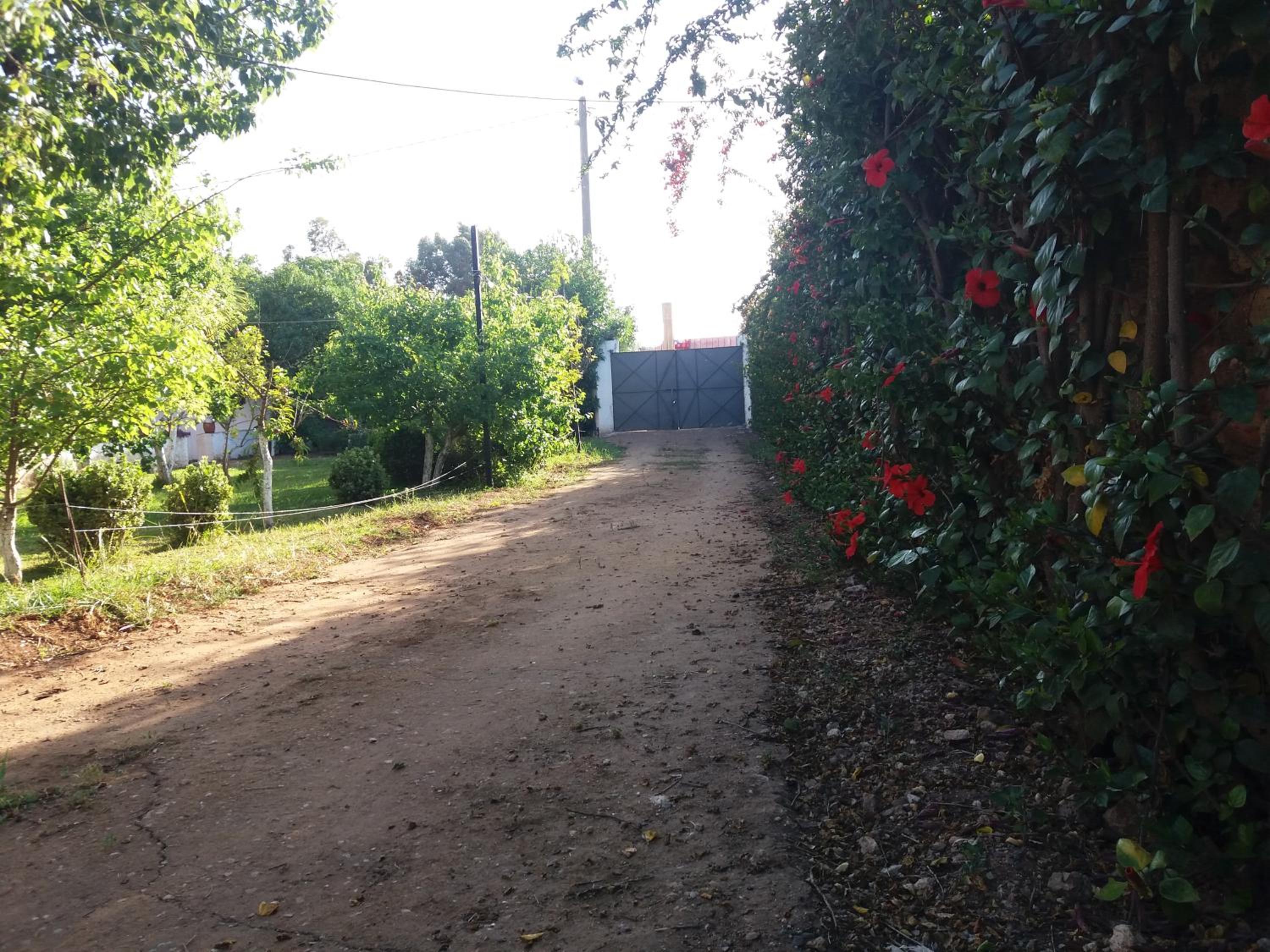 Photo 48