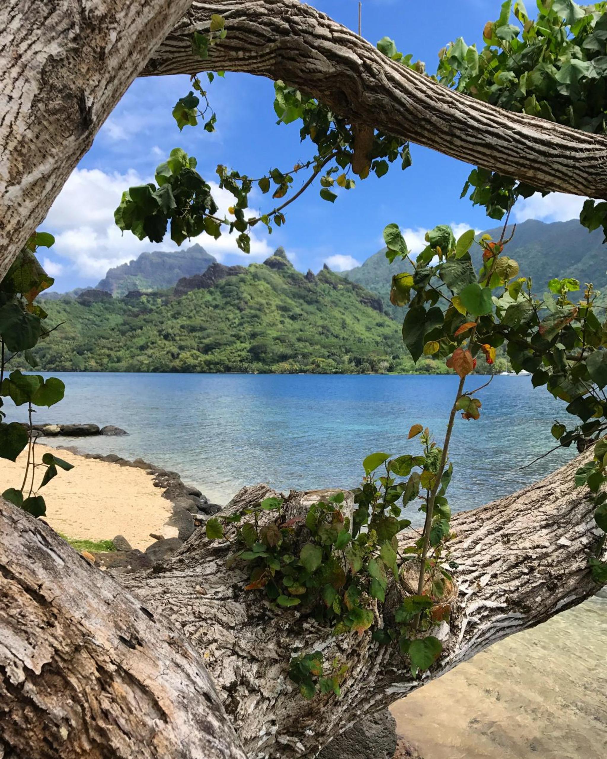 Robinson's Cove Villas