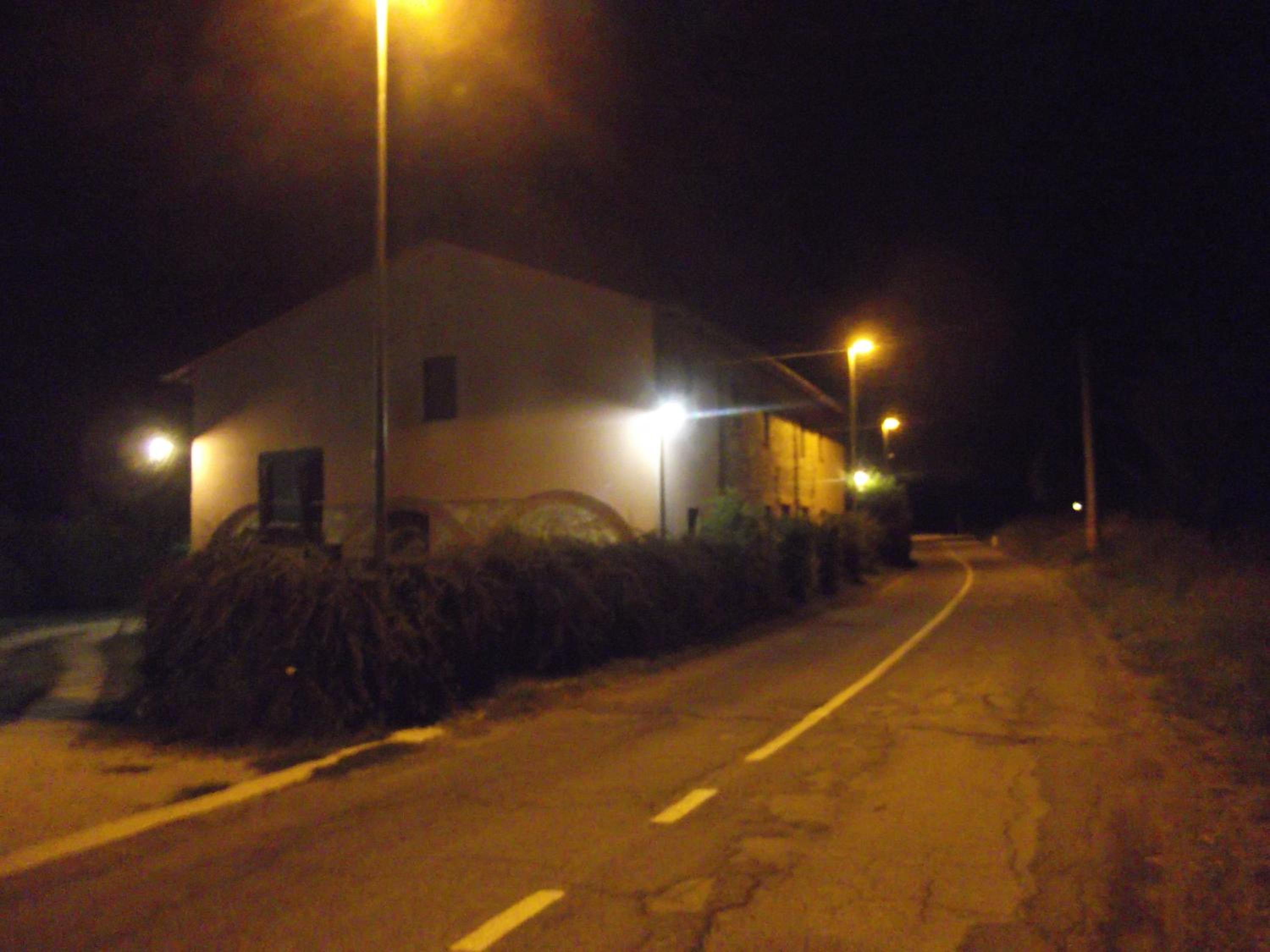 Photo 51