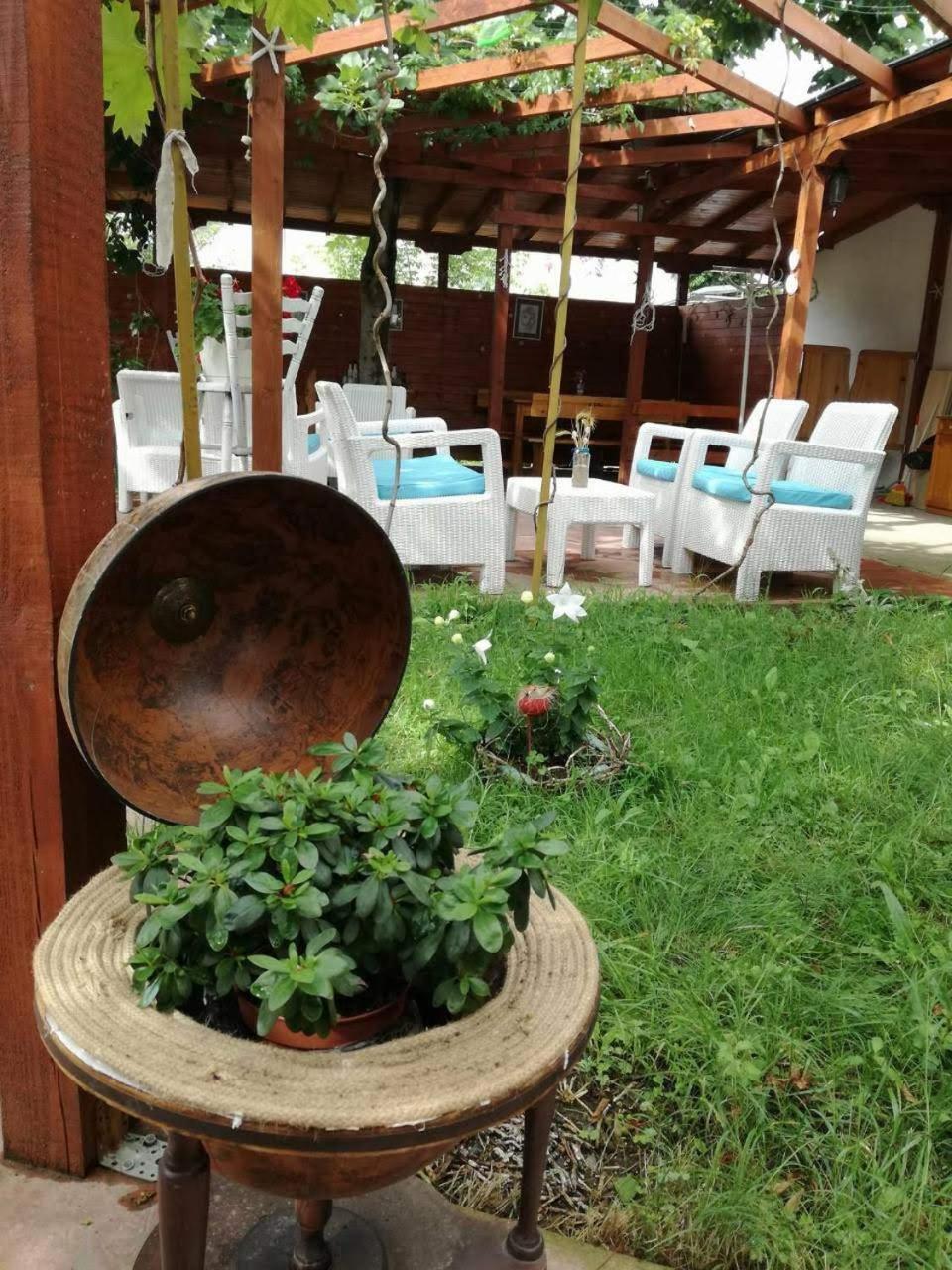 Photo 19