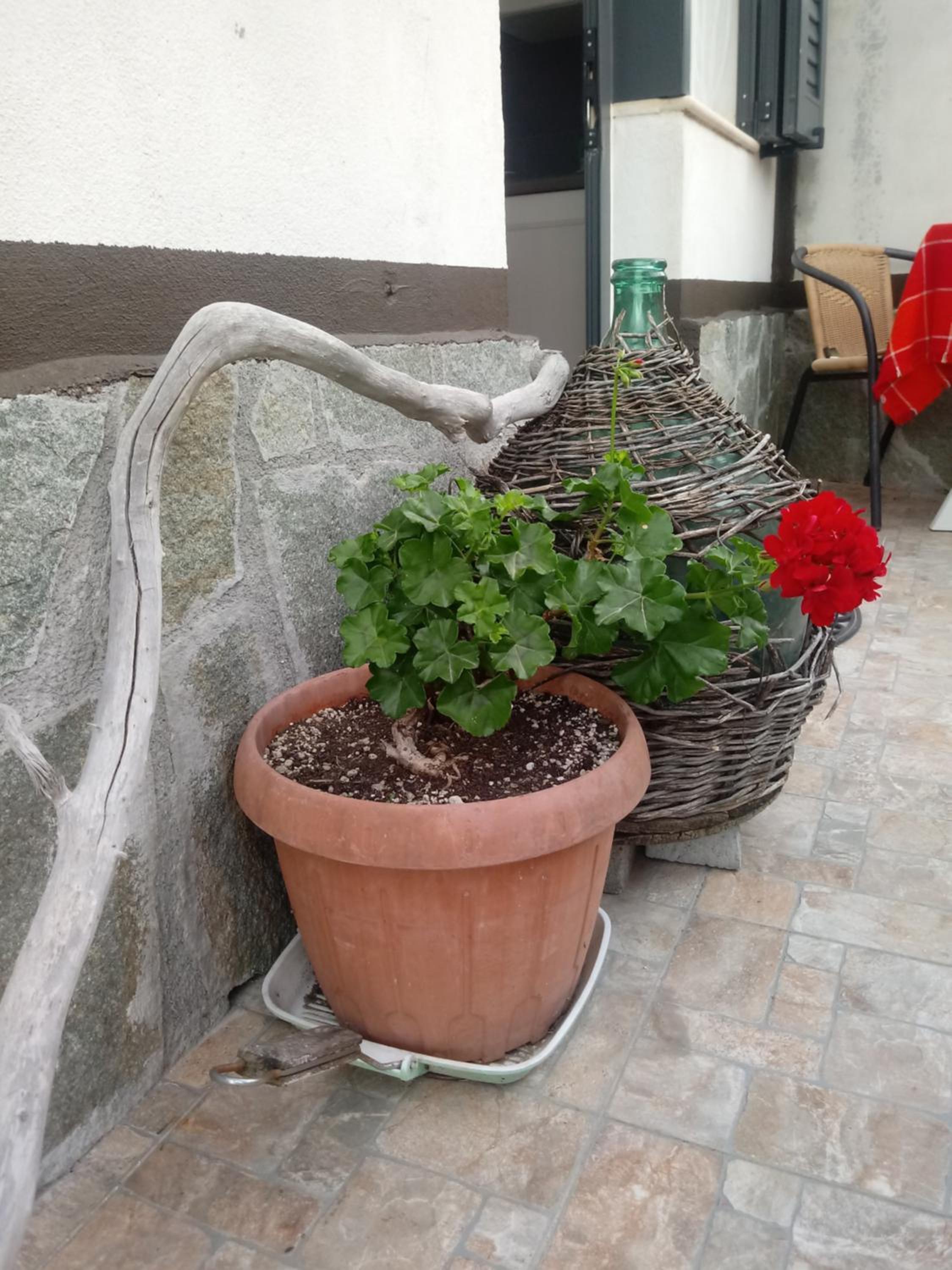 Agriturismo Alla Mal Parata view 5