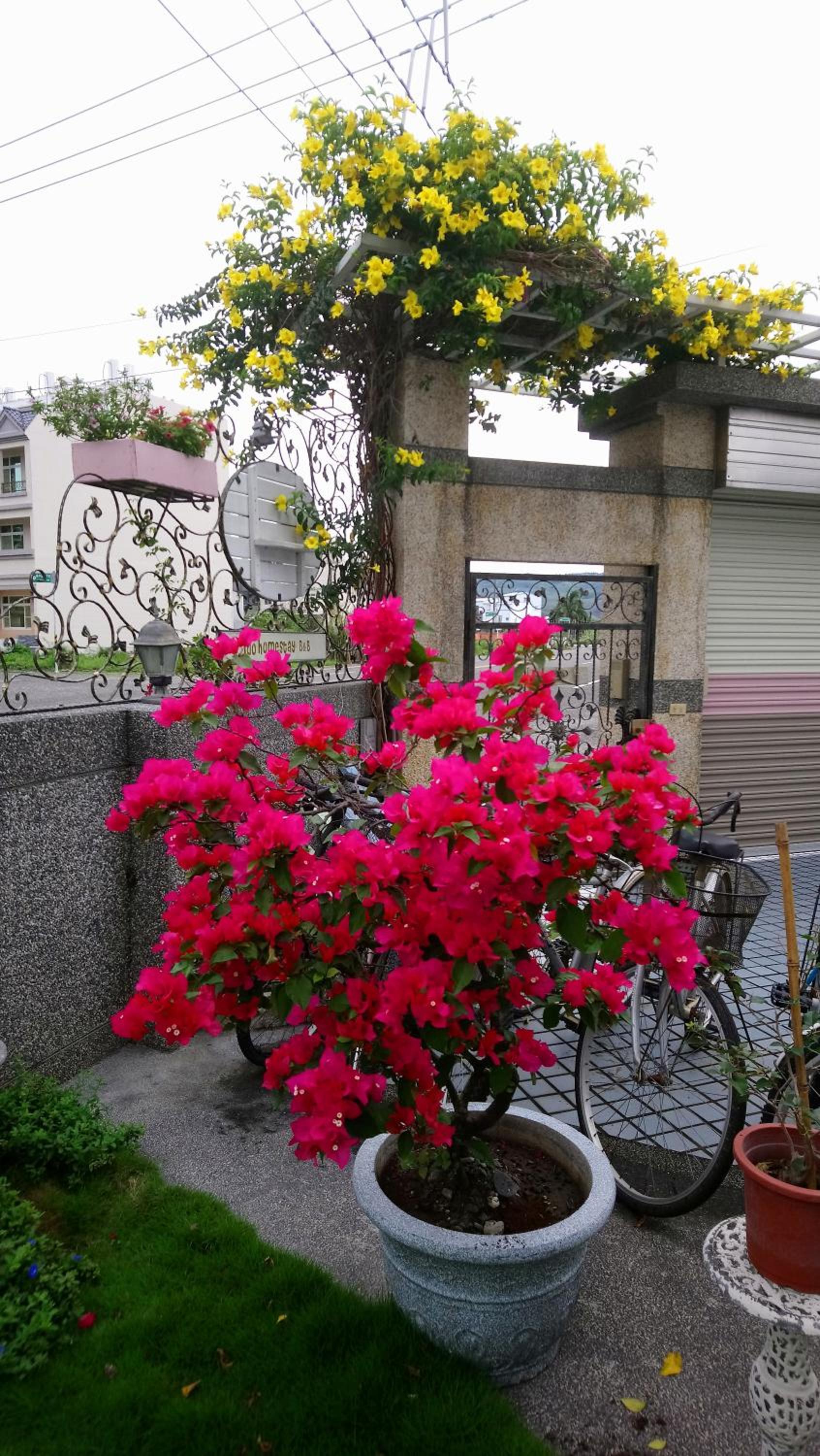 Ido Homestay