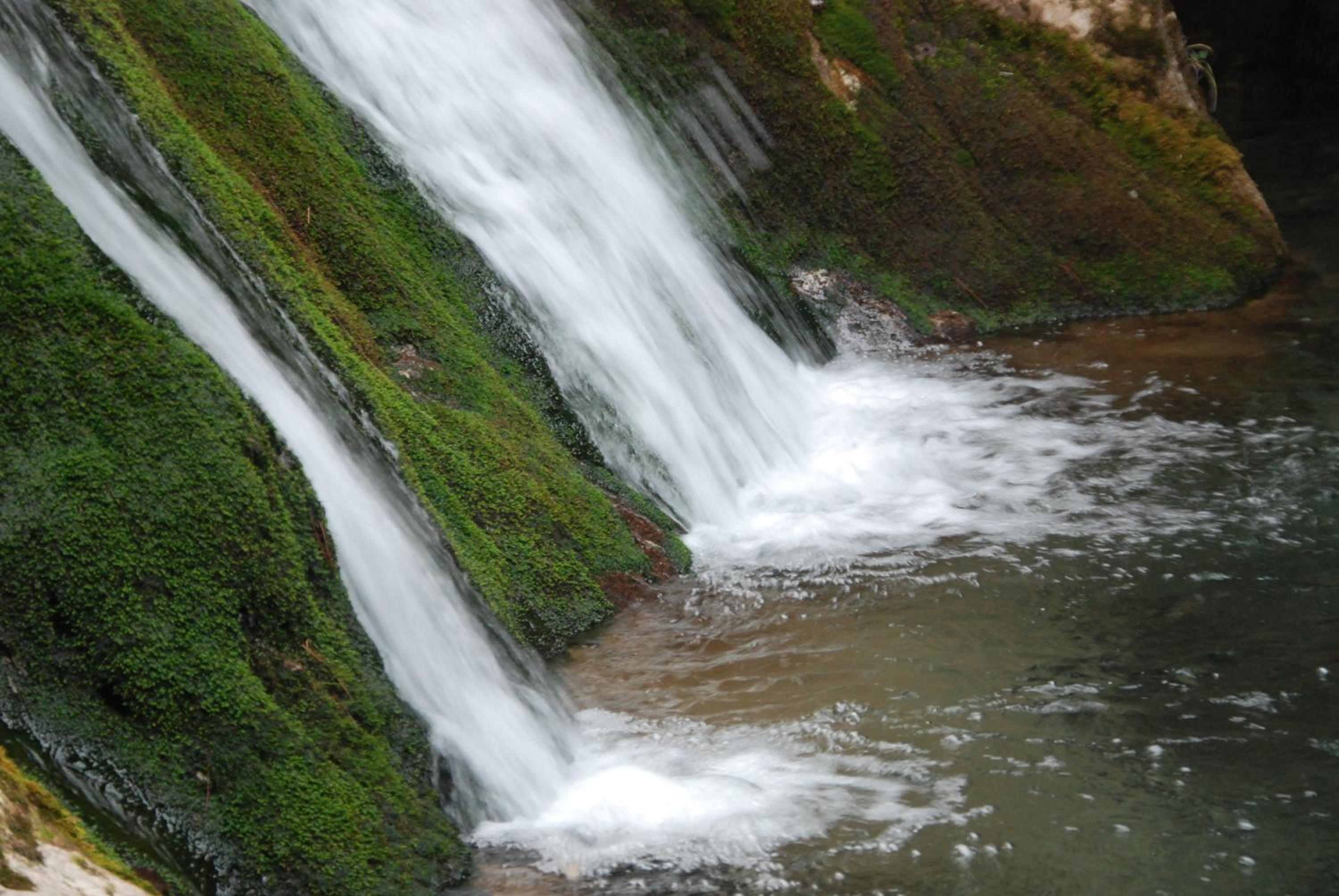 Photo 100