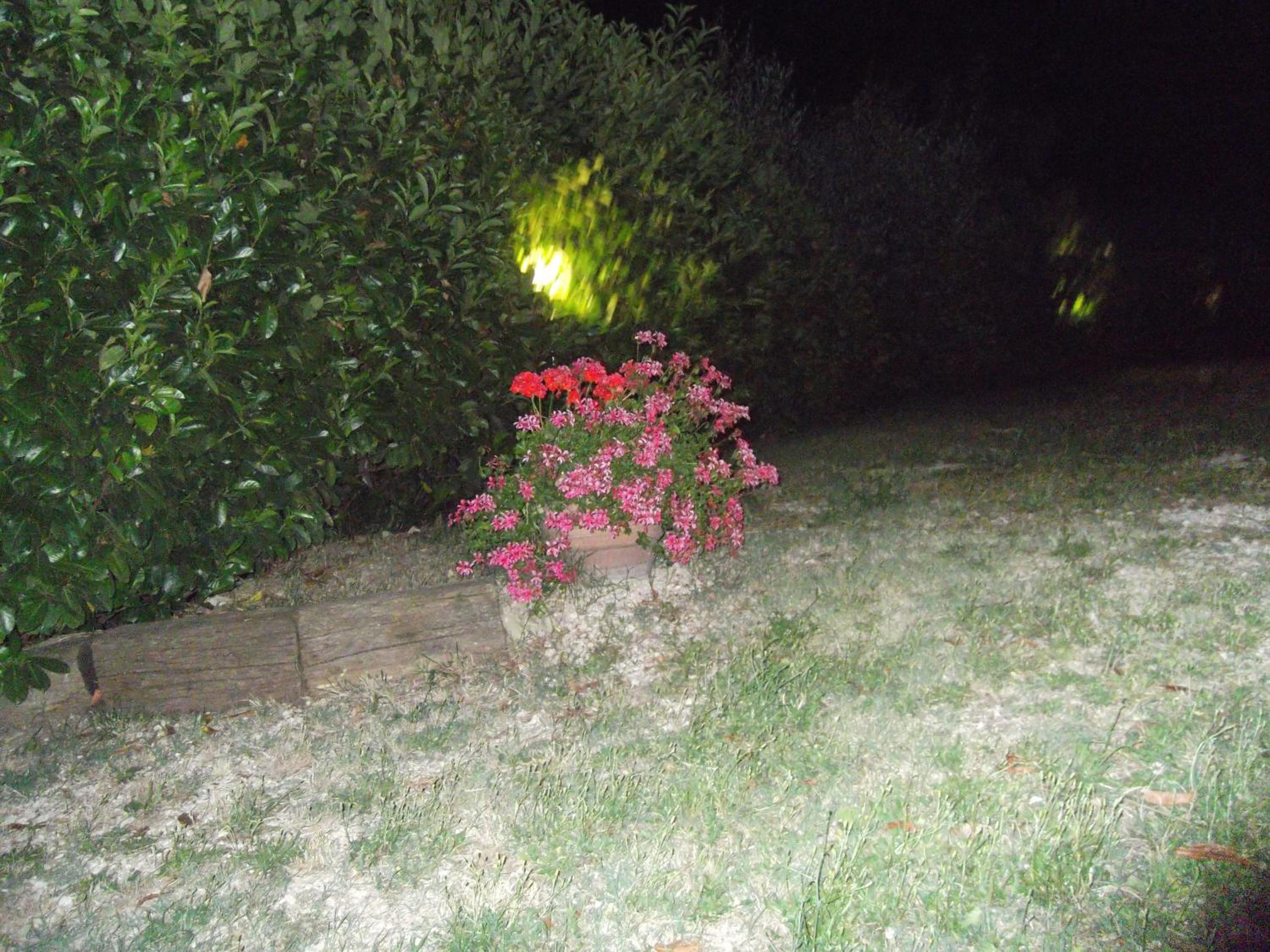 Photo 55
