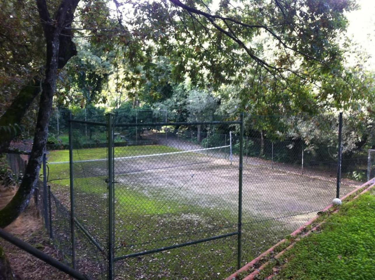 Quinta do Castro Wood House view 5