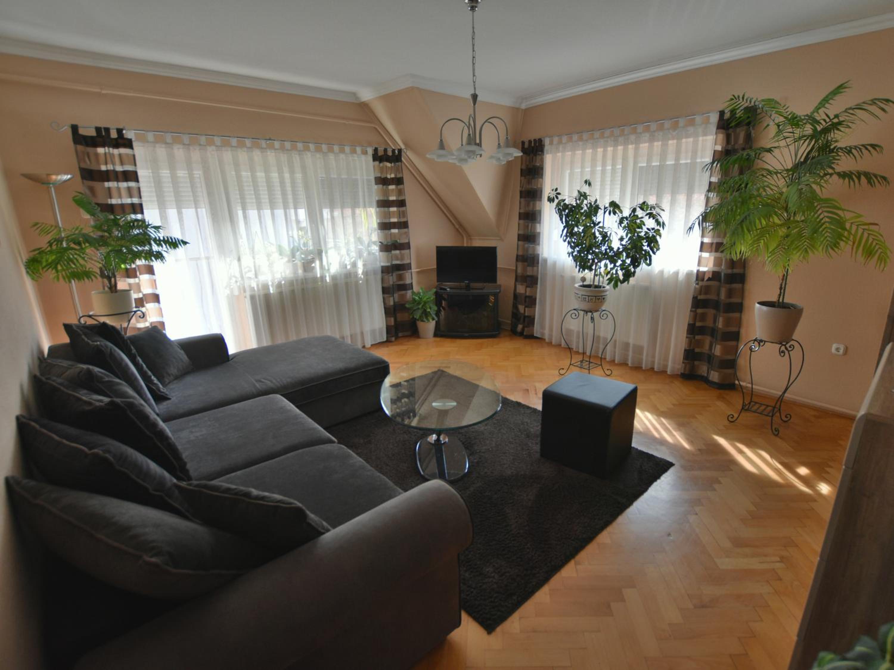 Szécsényi Apartman view 4