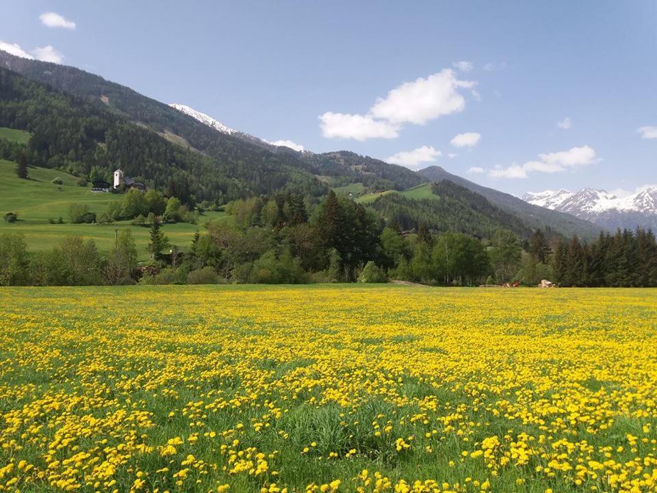 Gästeheim Pötscher