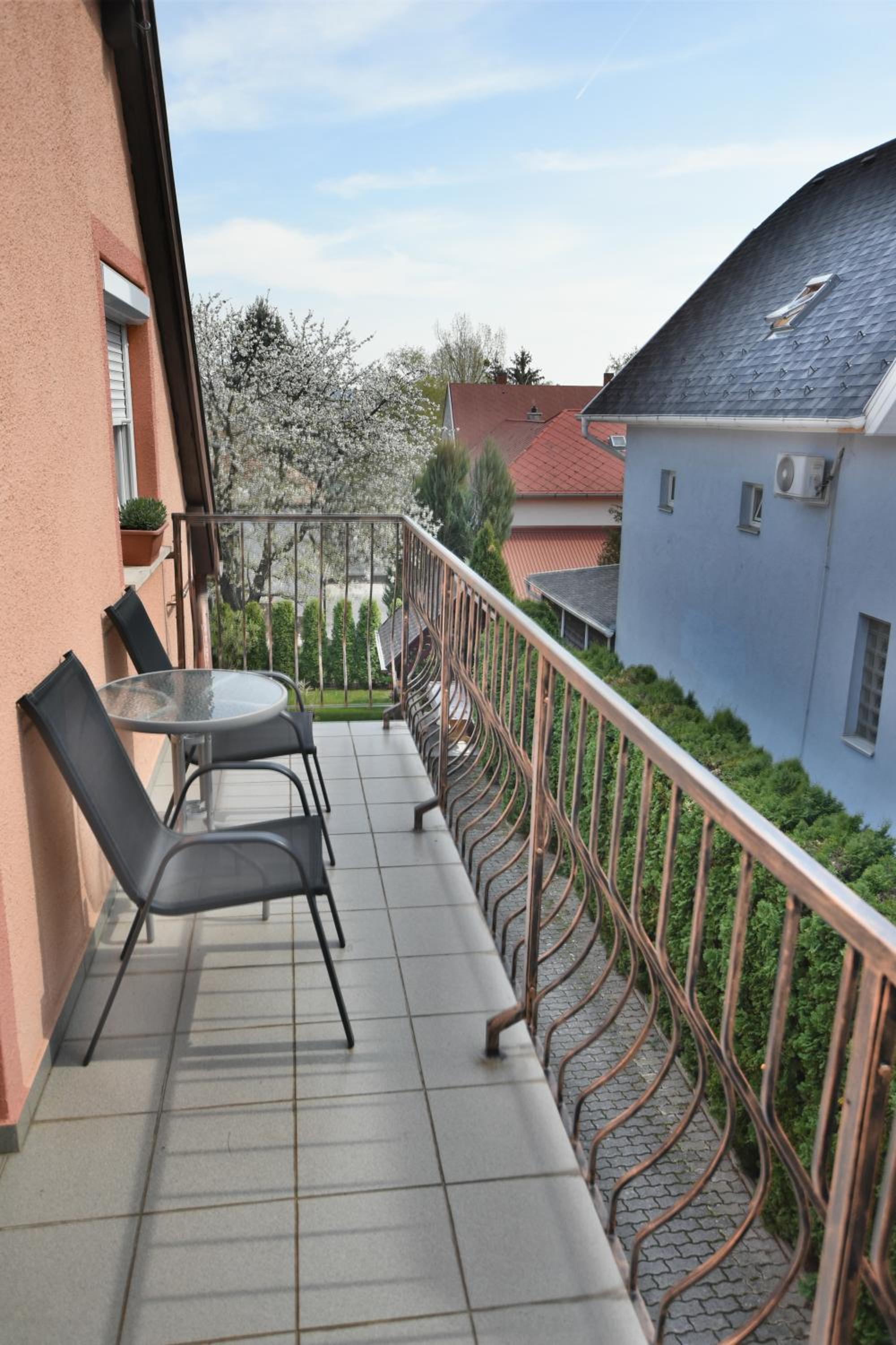 Szécsényi Apartman view 5