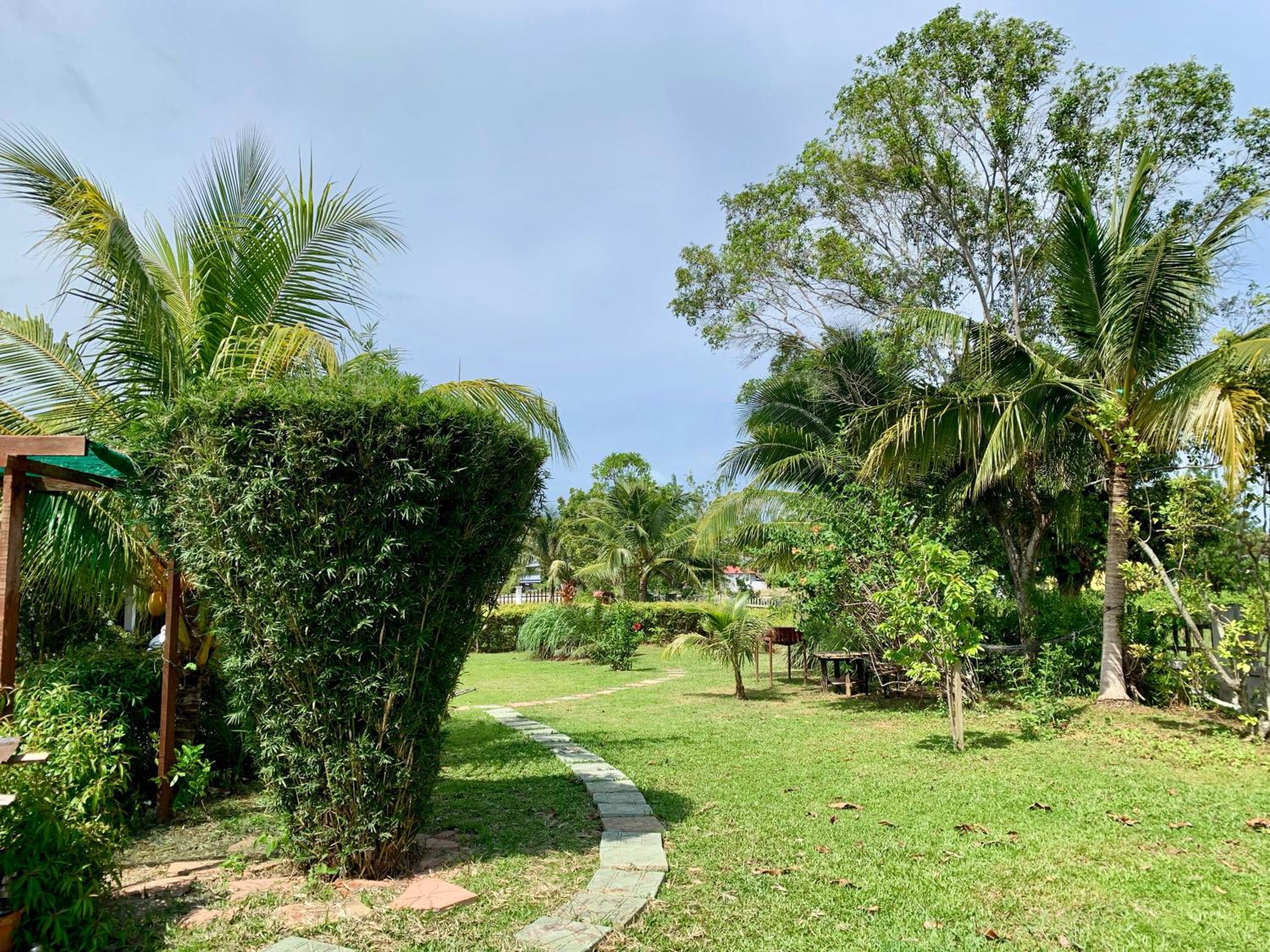 Photo 41