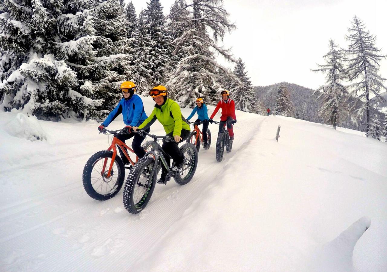 HOFERHOF Schladming -Dachstein