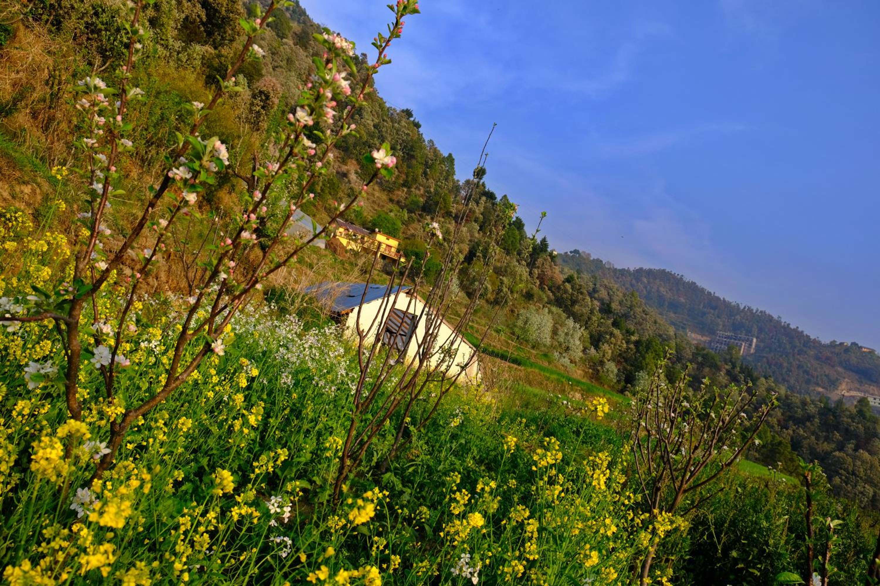 Enchanted Hills Farmstay