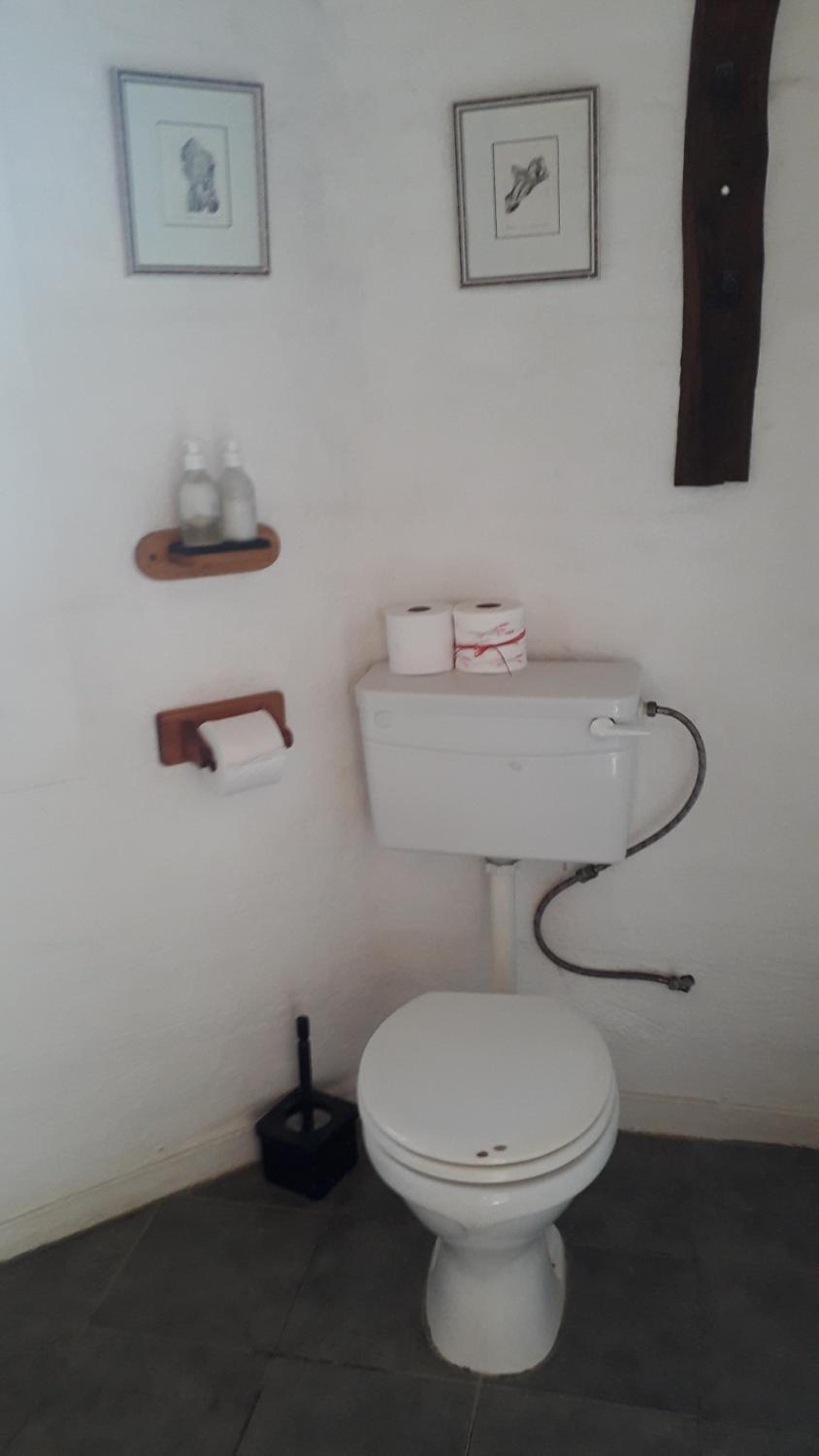 Alternative Space B & B