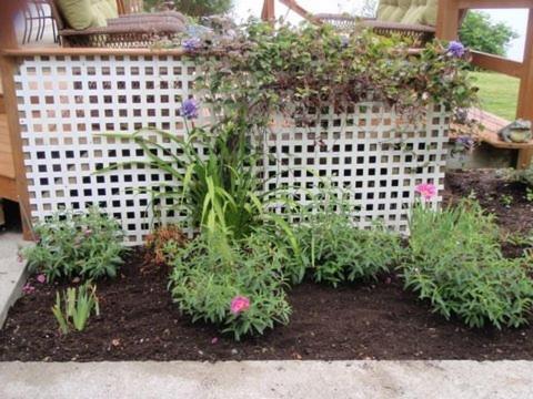 Sooke Vacations - Marge's Manor - Property Image 1