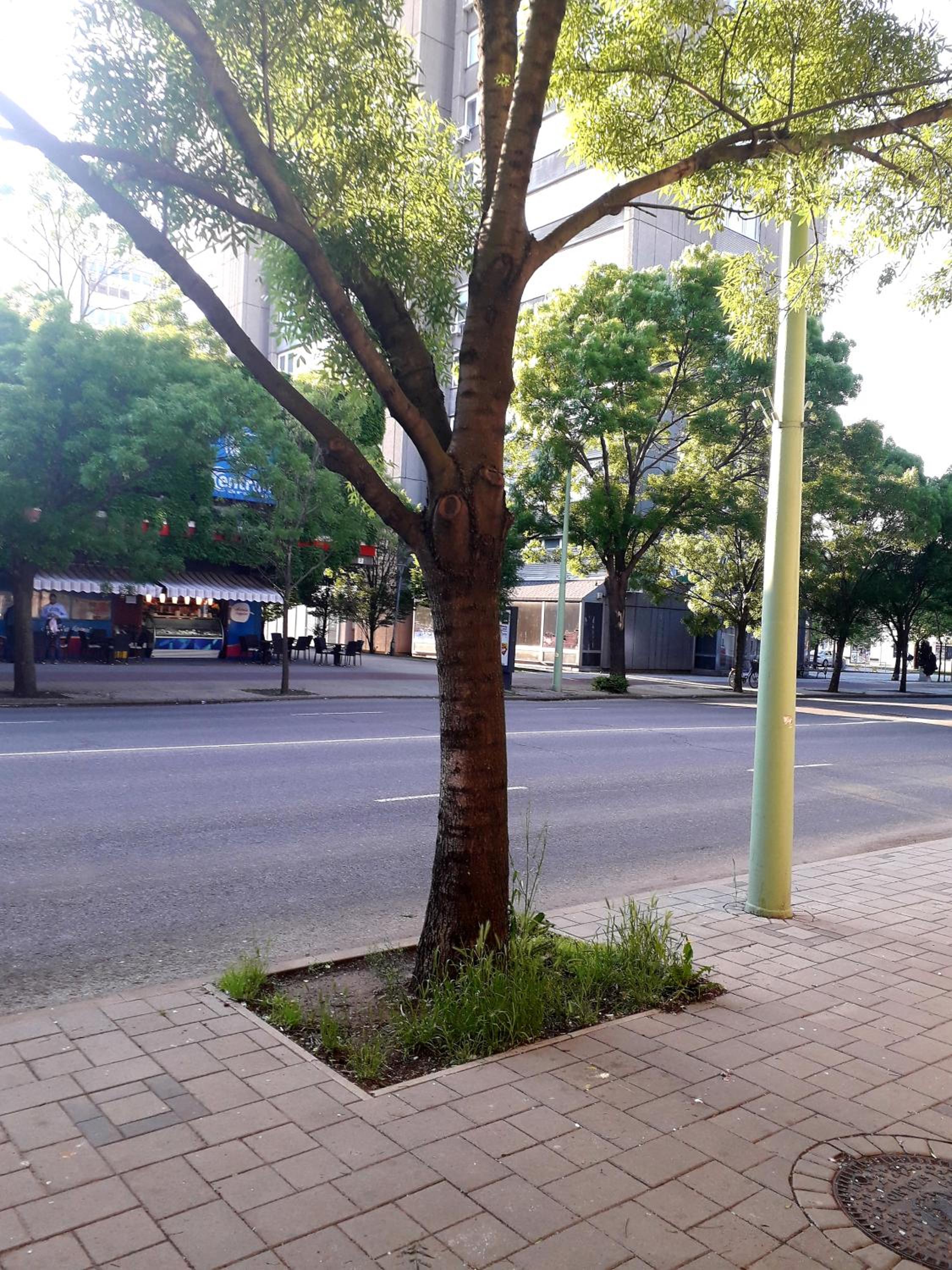Photo 8