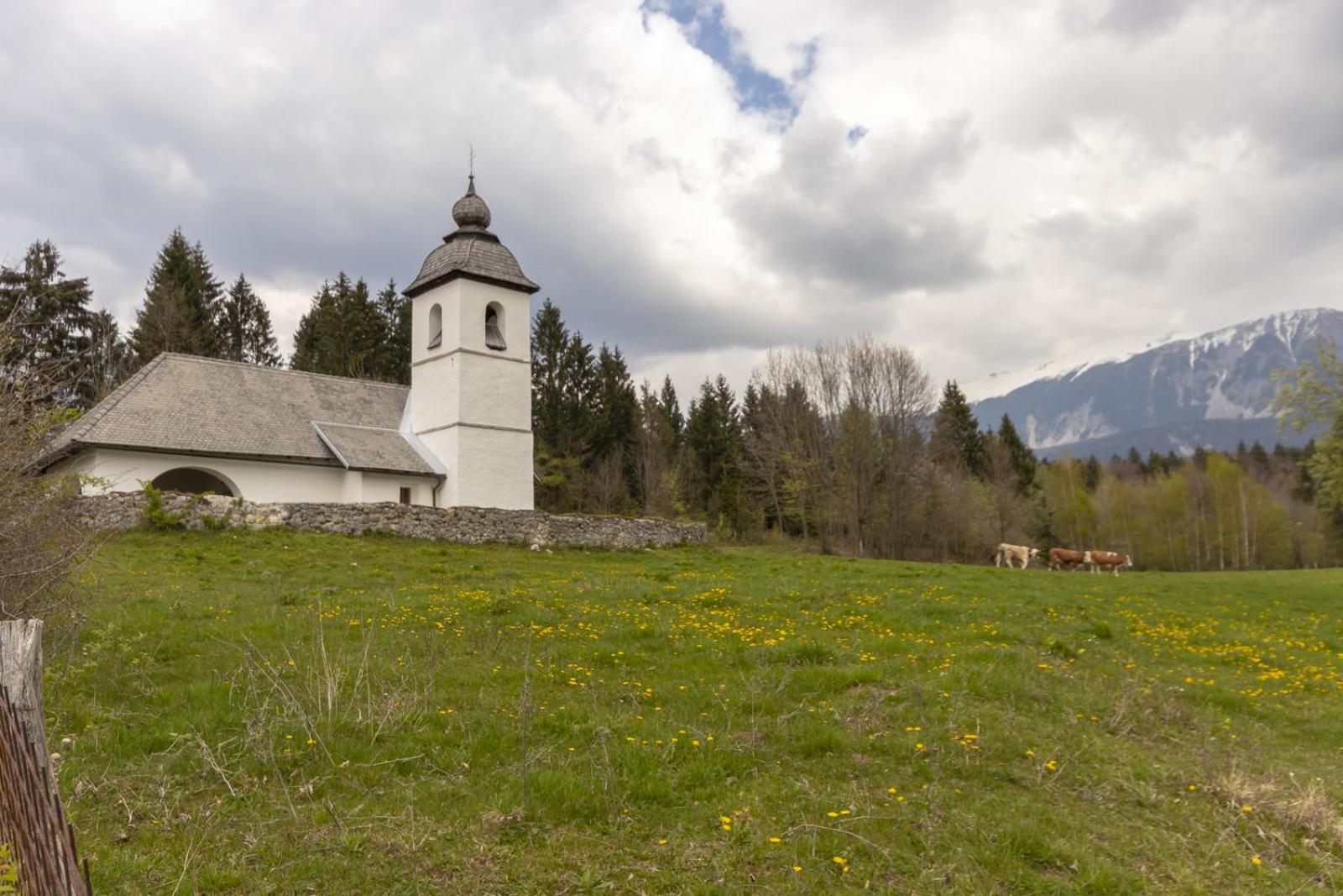 Photo 32