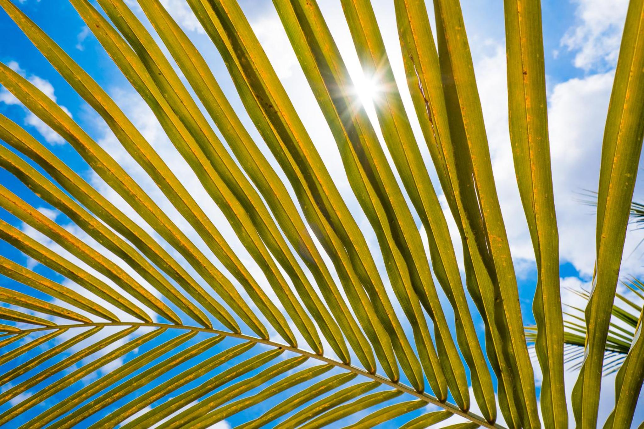 BEACHES Bonaire