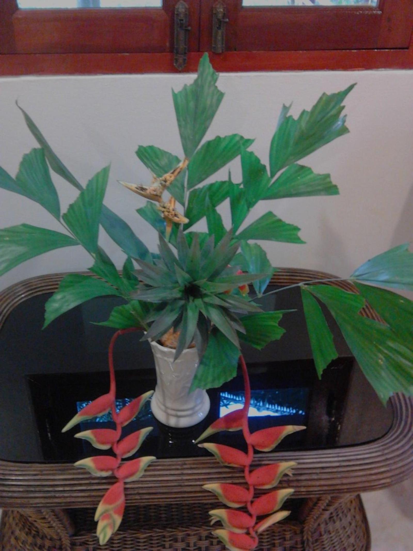 Photo 46