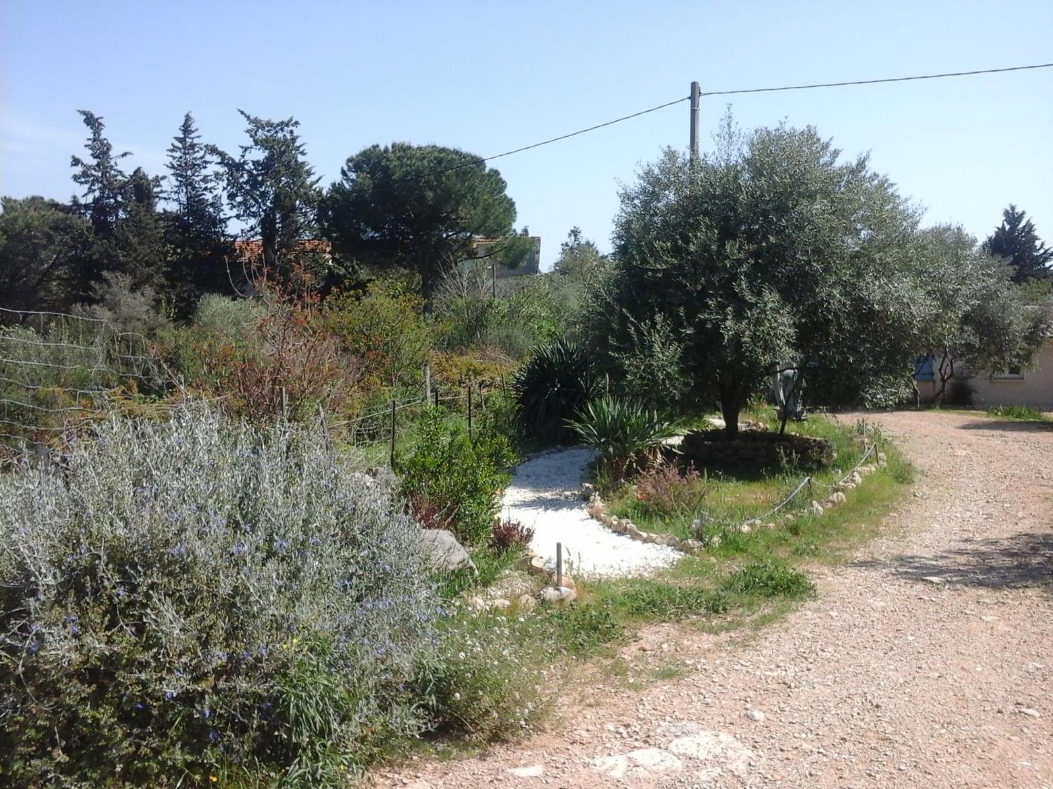 Photo 17