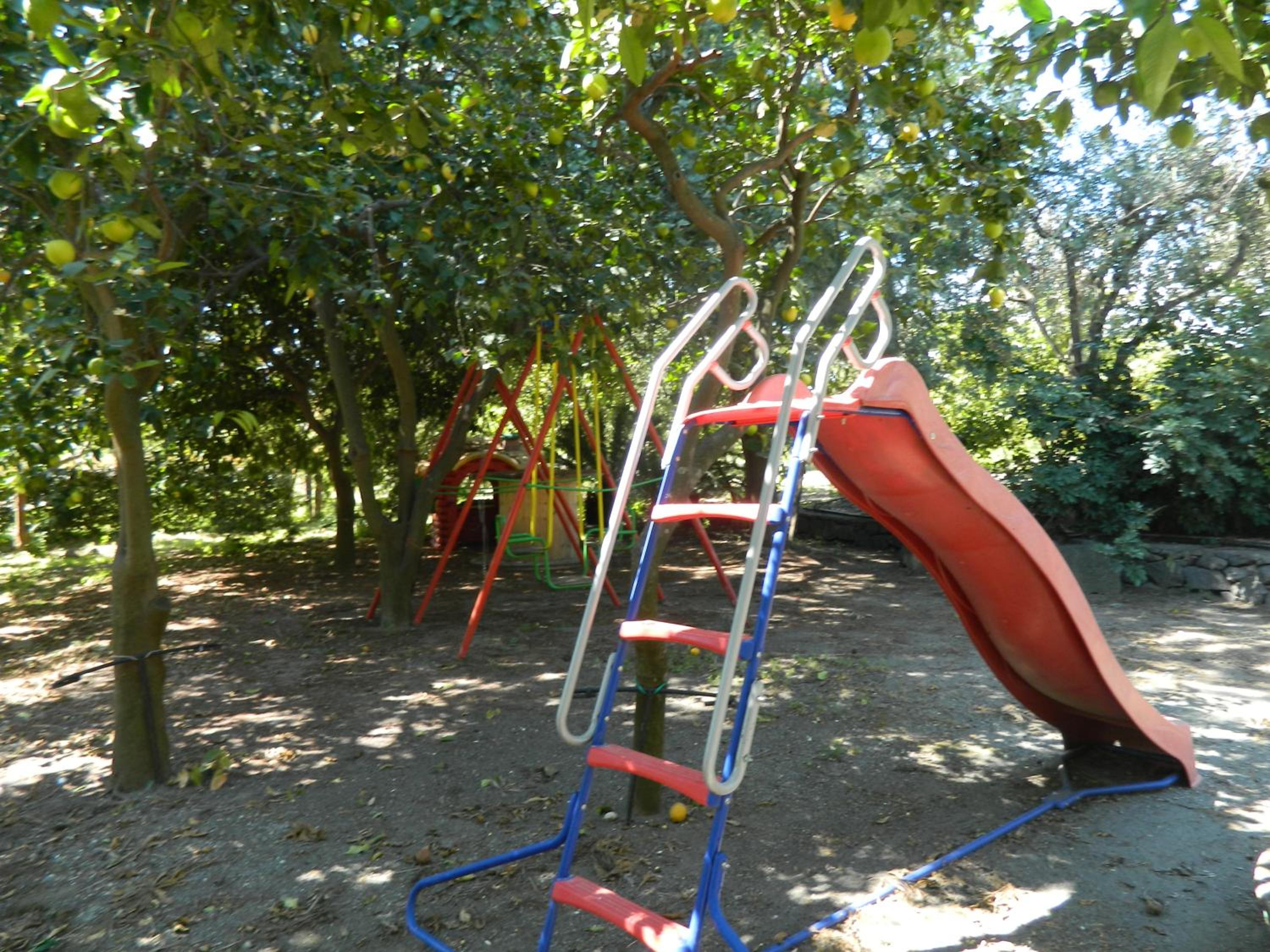 Photo 24