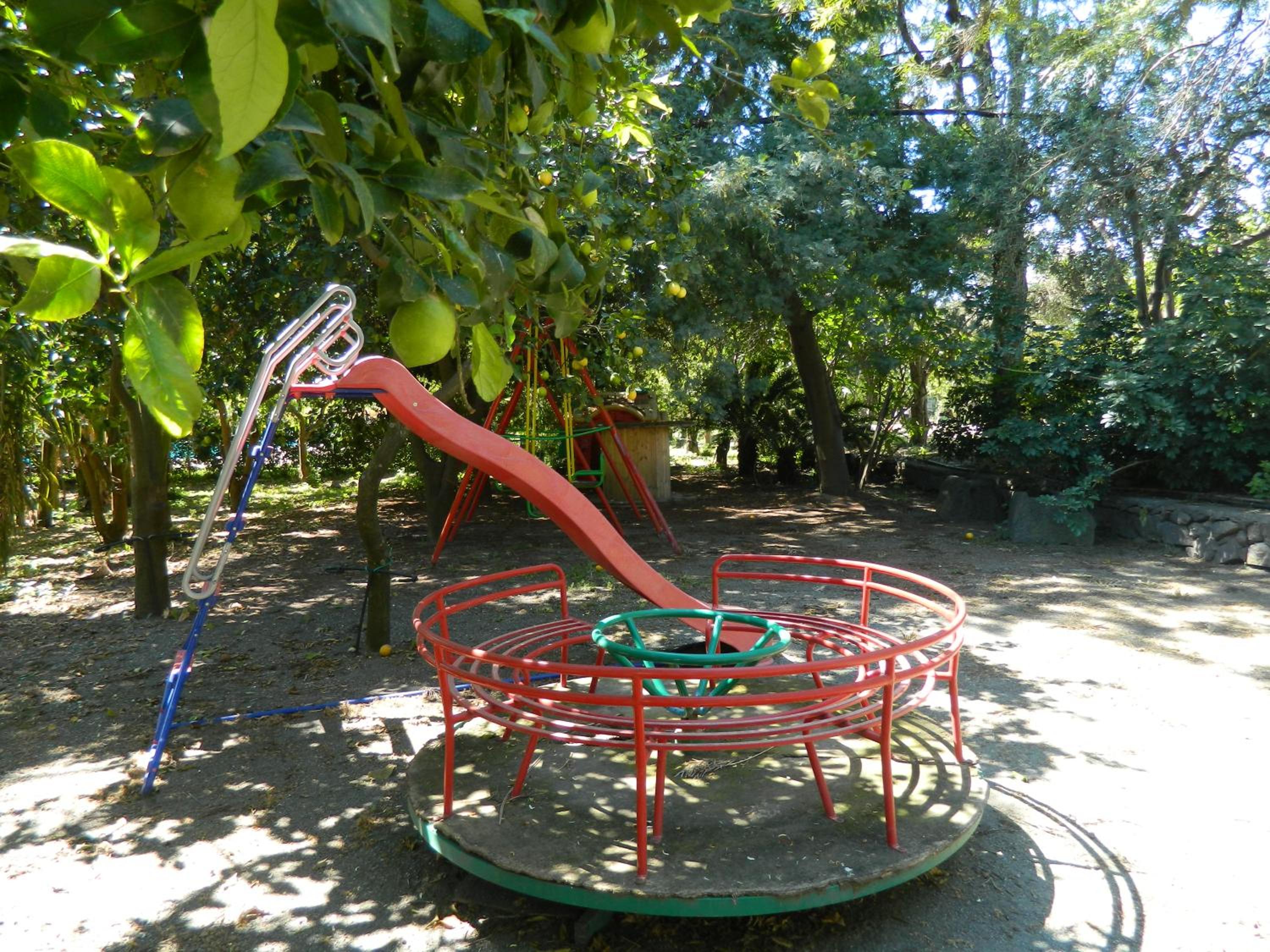 Photo 25