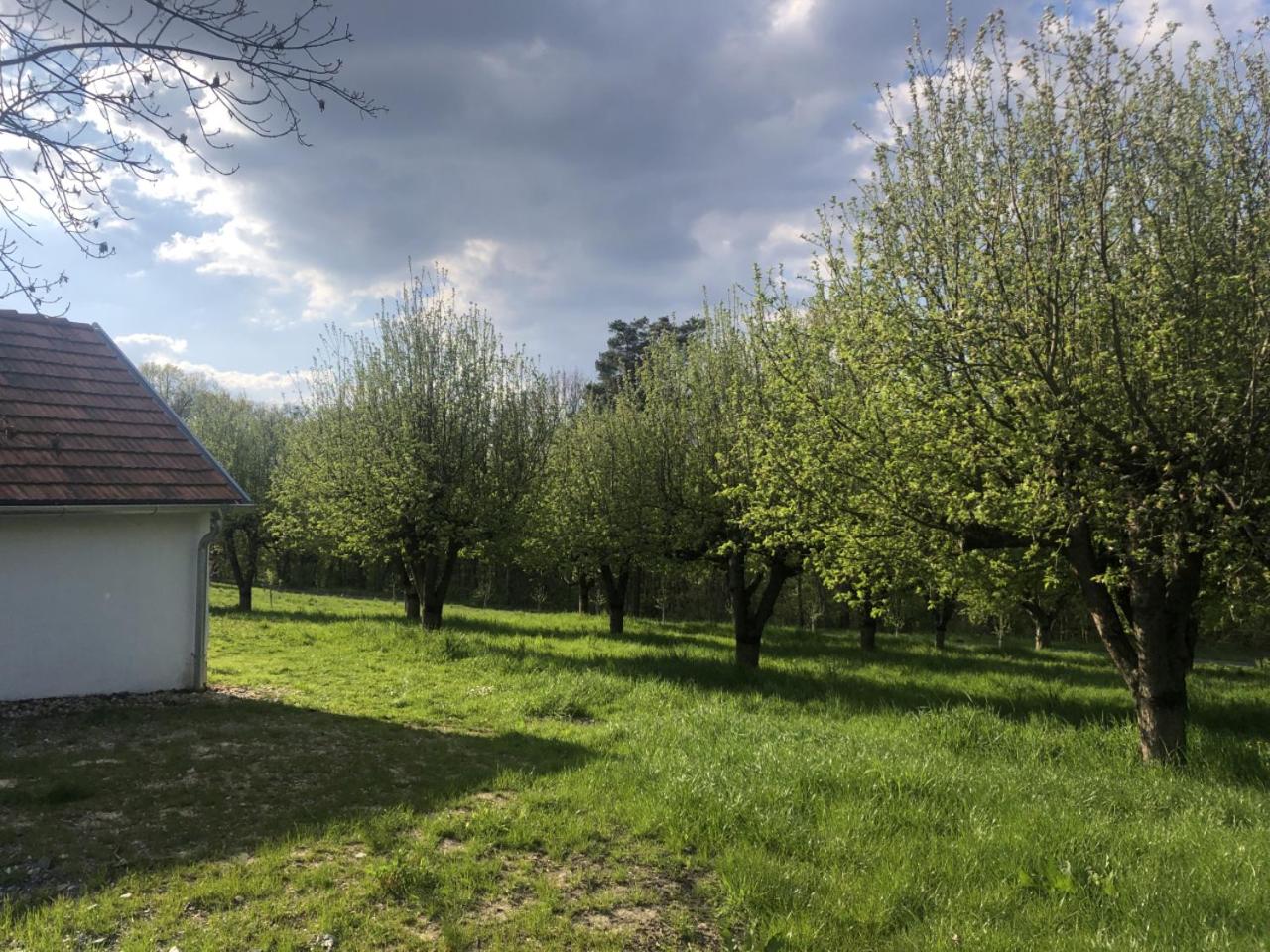 Sonnenhof