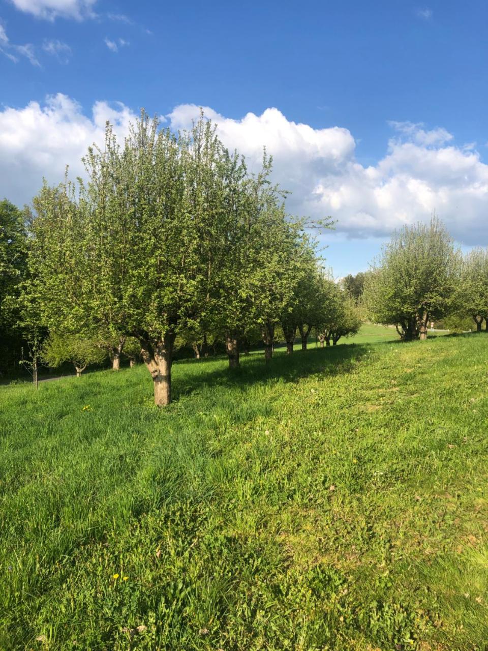 Sonnenhof
