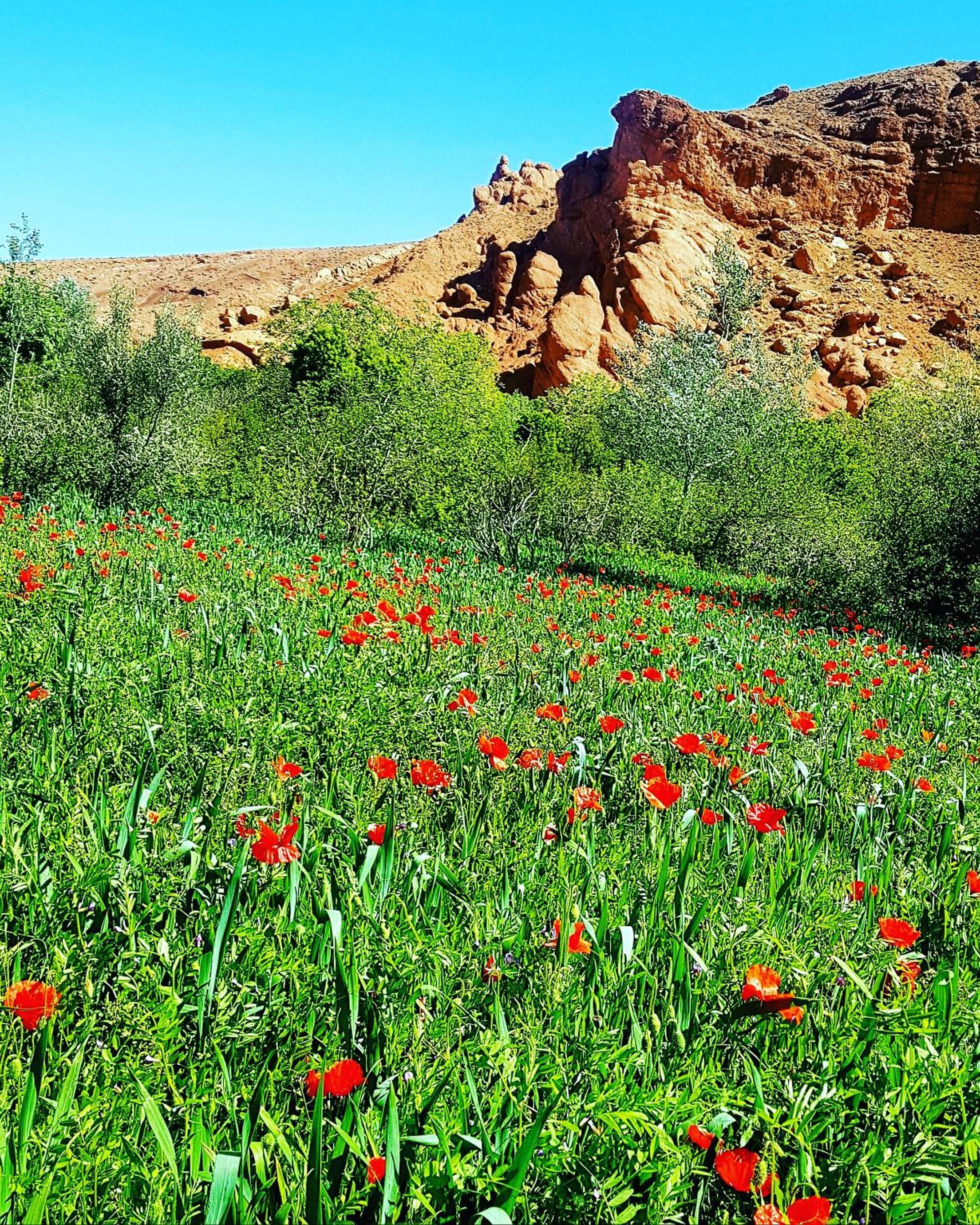 Auberge Kasbah Ait Marghad view 4