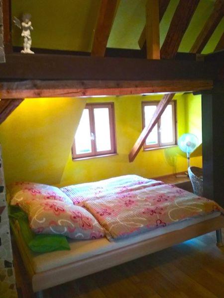 FERIENHAUS Grüne Franziska, perfekt für große Familien & Gruppen, nur 10min vom EuropaPark