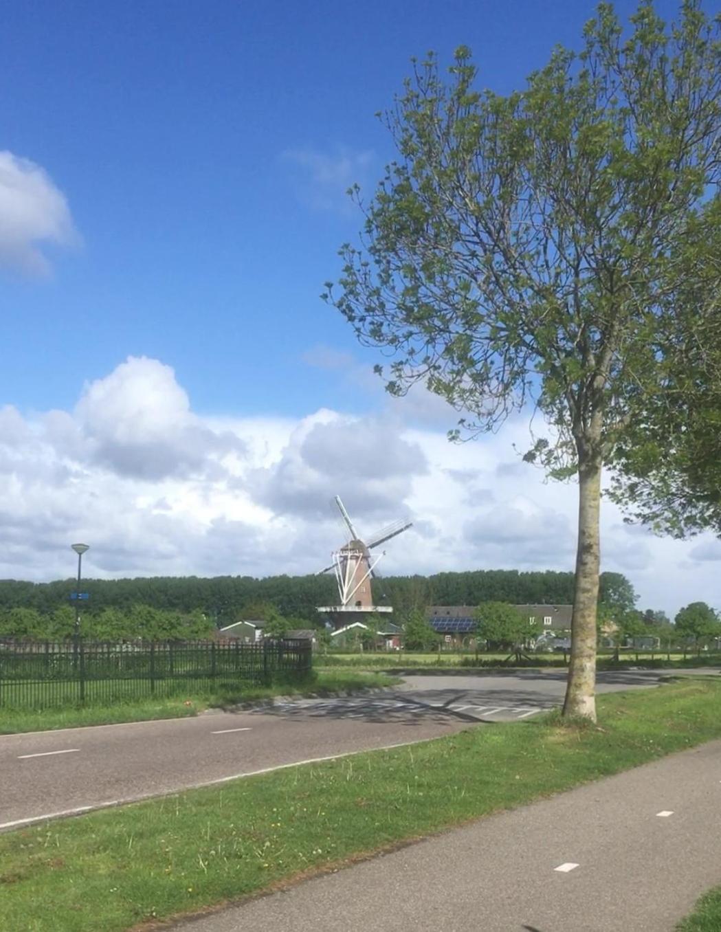 het Pelikaantje view 3