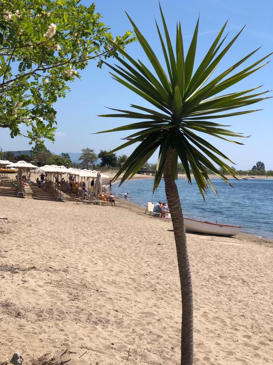 Dimitra’s and Nasia’s Villa