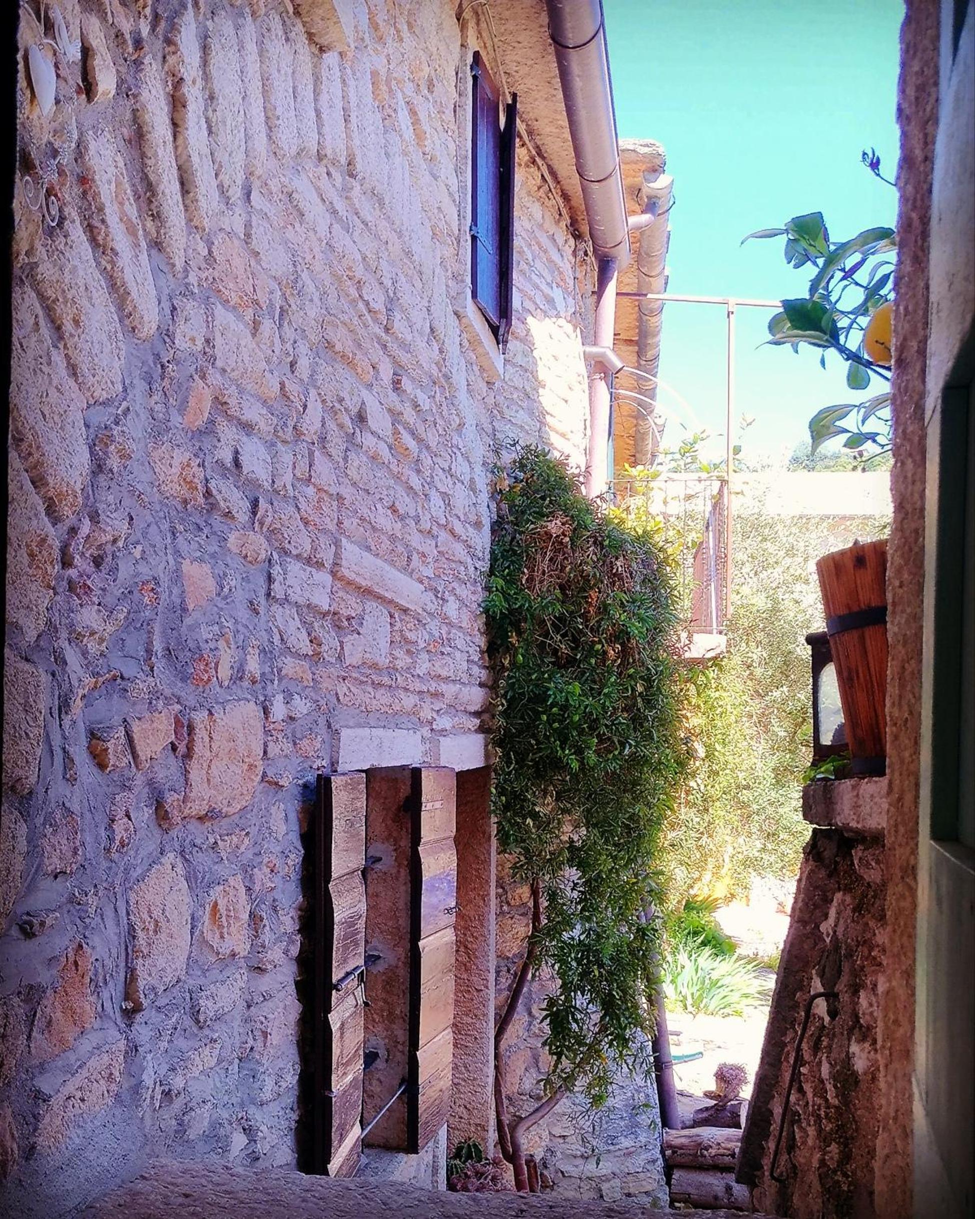 Photo 22