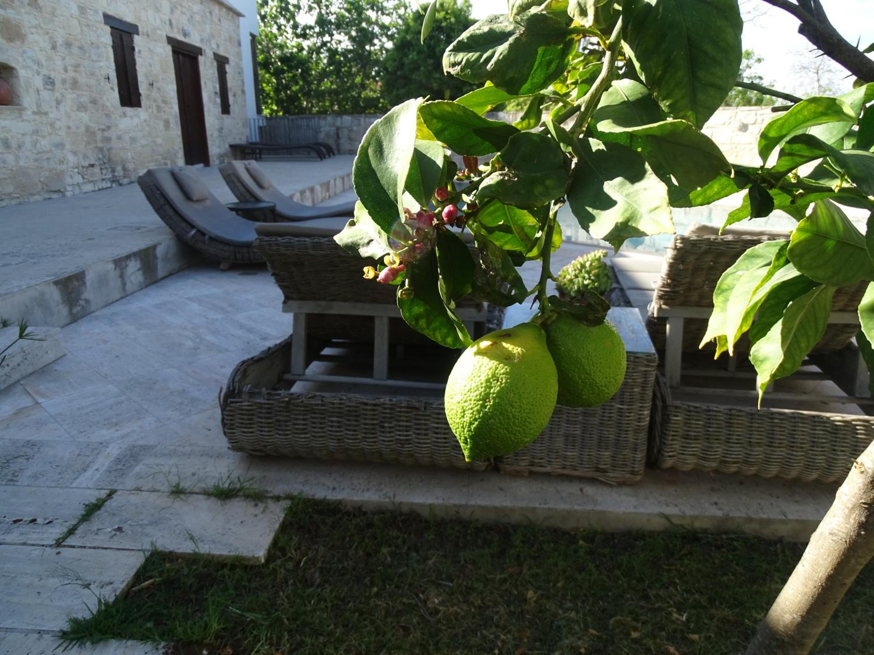 Kaizer Agrotourism - Property Image 54