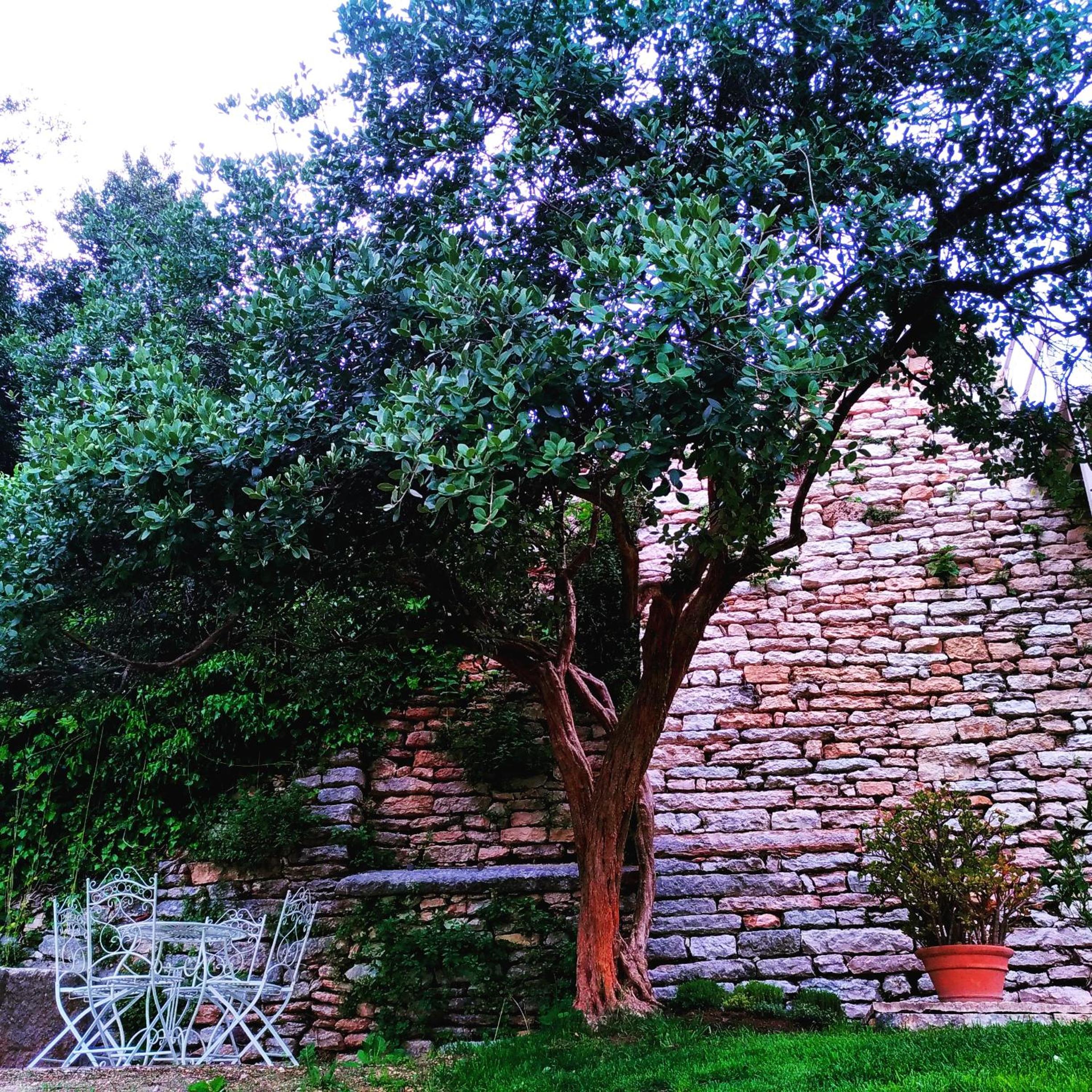Photo 20