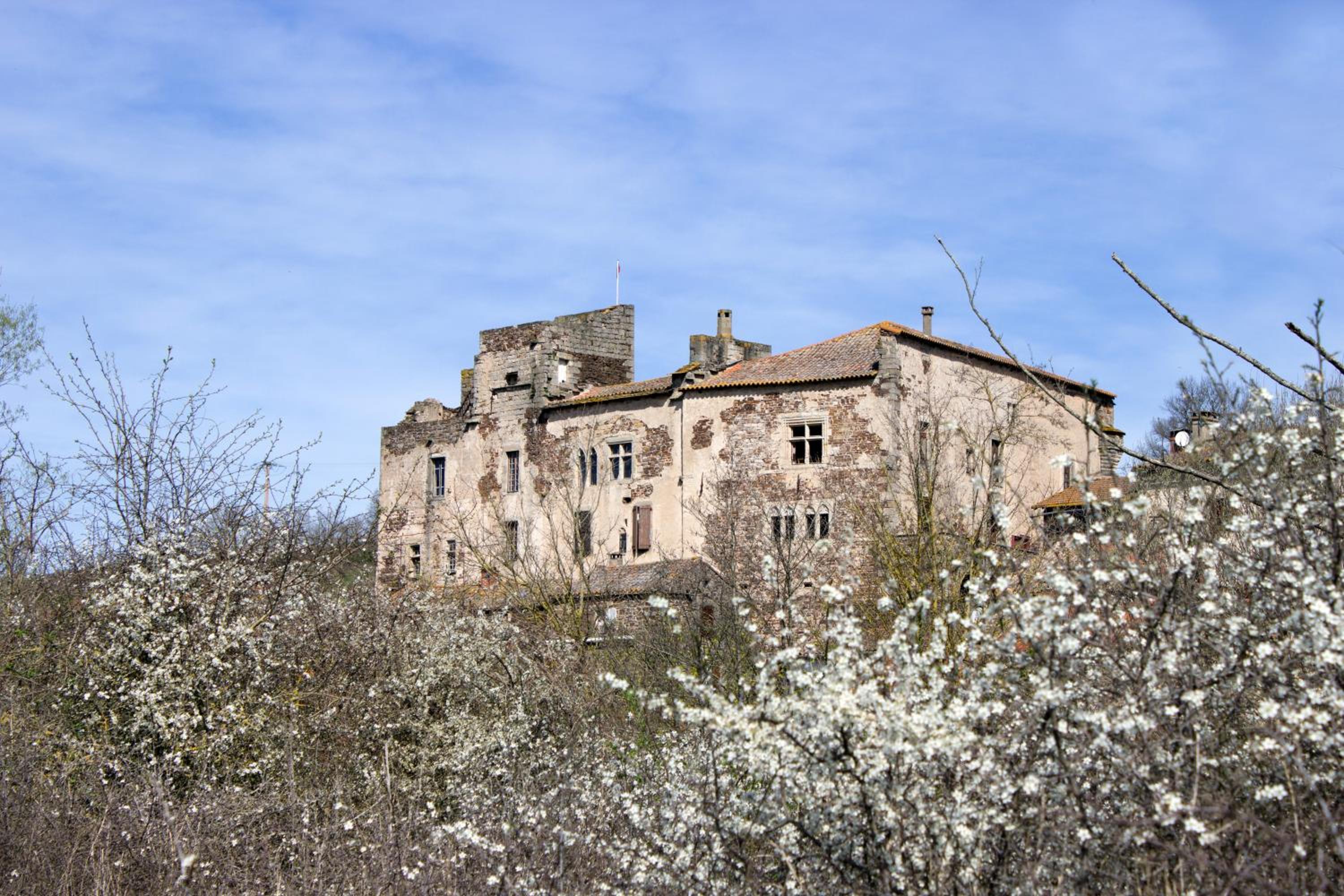 Photo 25