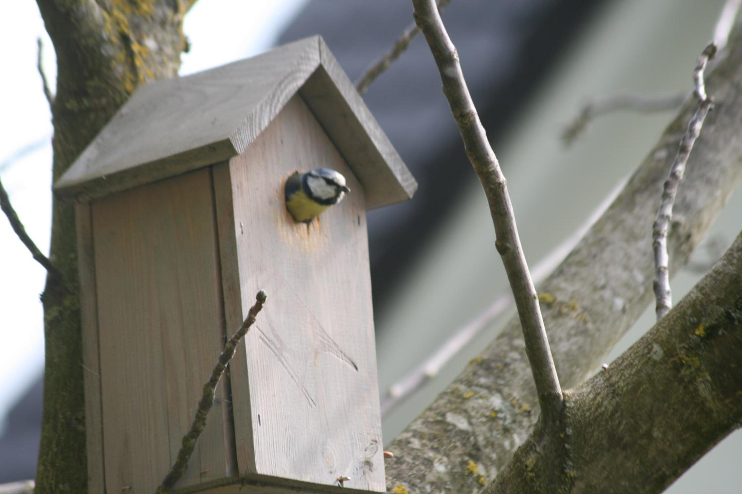 B&B Arlesbrunnen