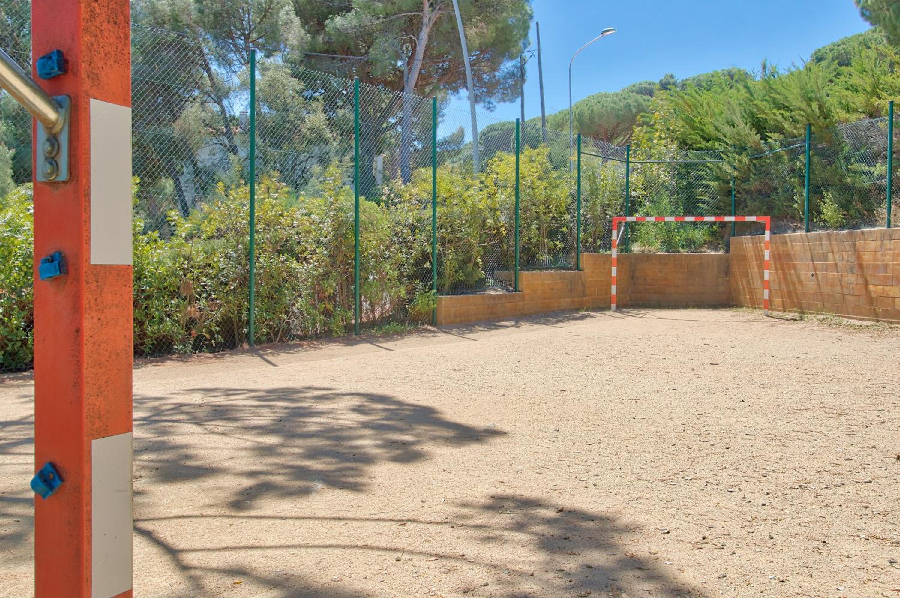 Photo 41