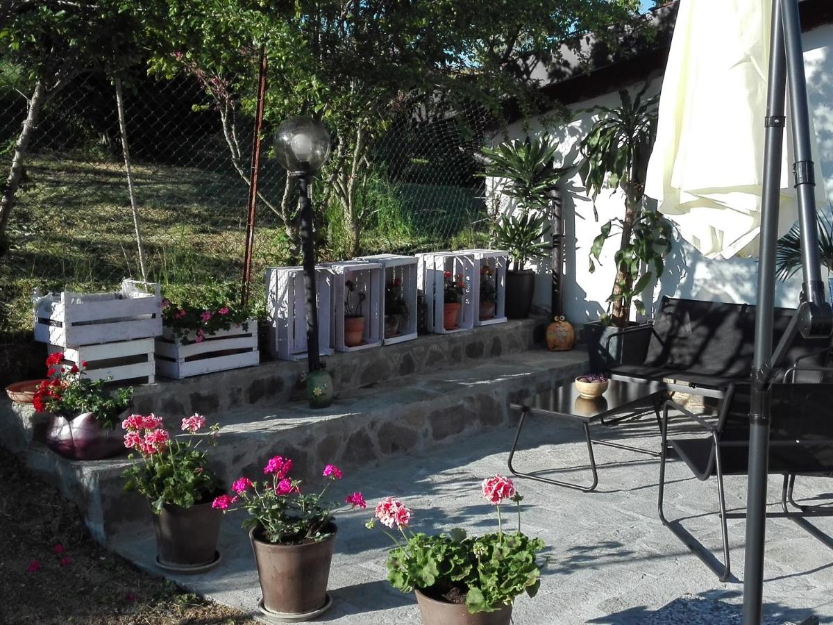 la casa nel sole photo 5