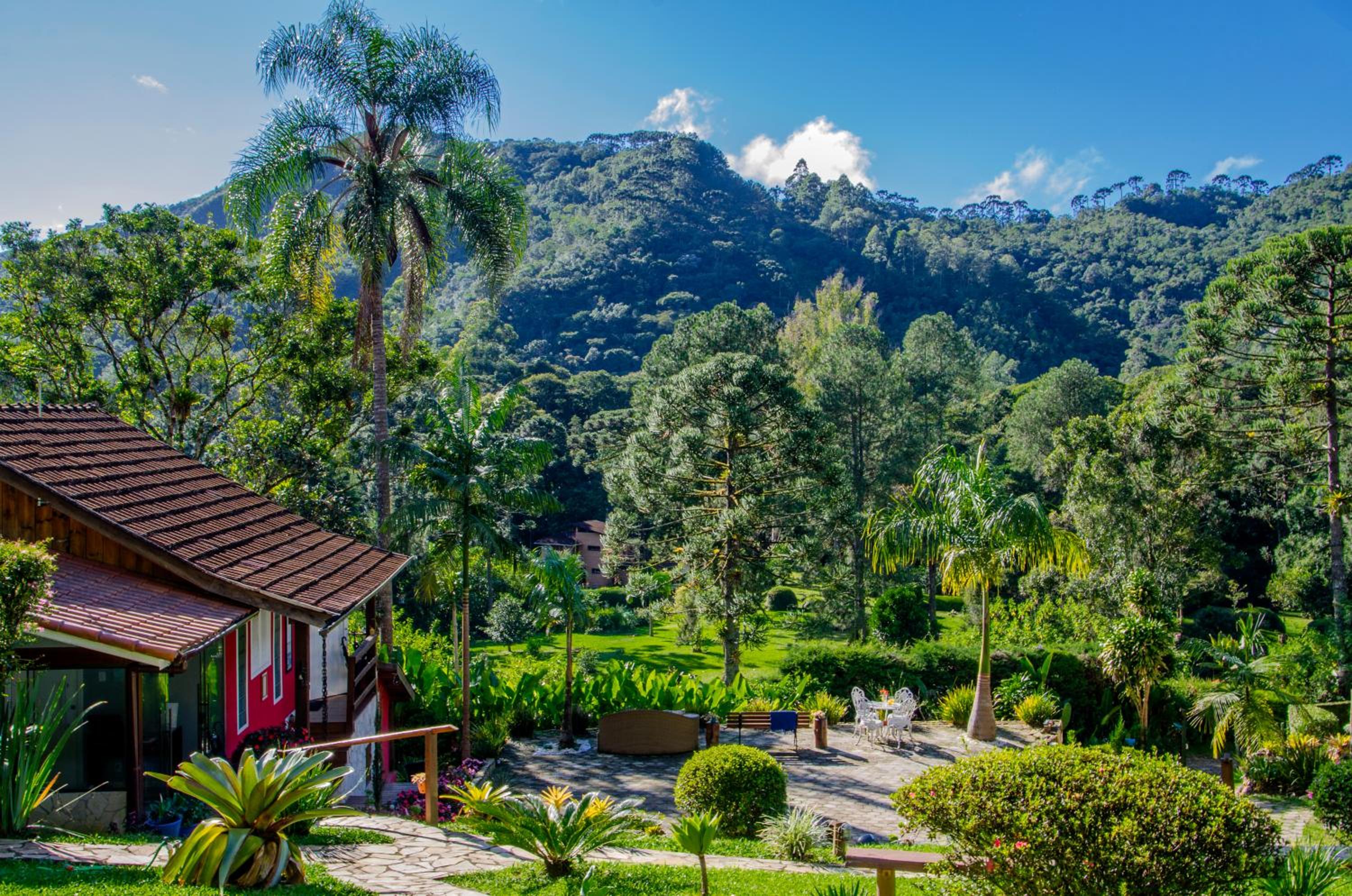 Photo 46
